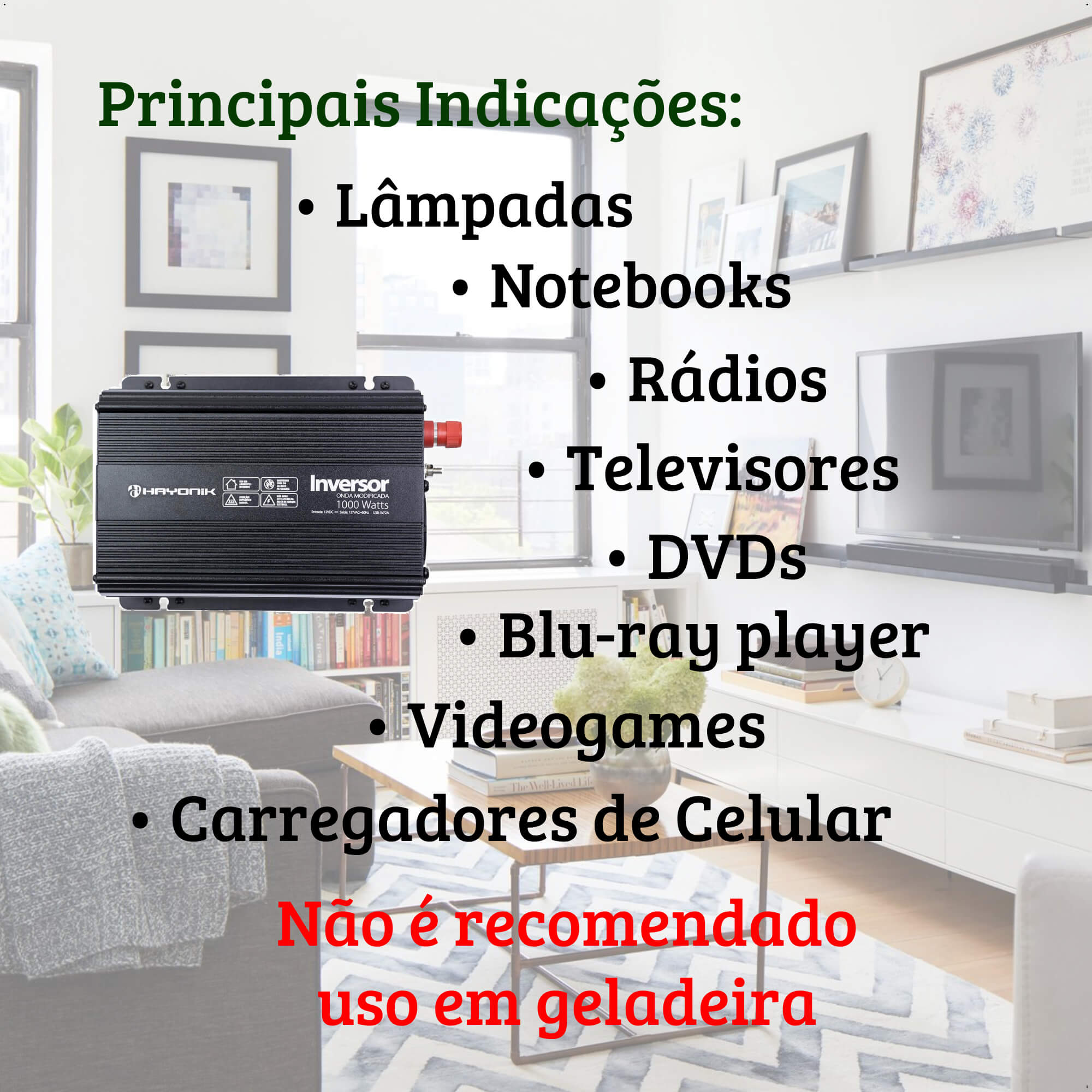 Inversor e Conversor de Tensão Onda Modificada Hayonik 12V para 127V 1000W Com Saída USB 67210