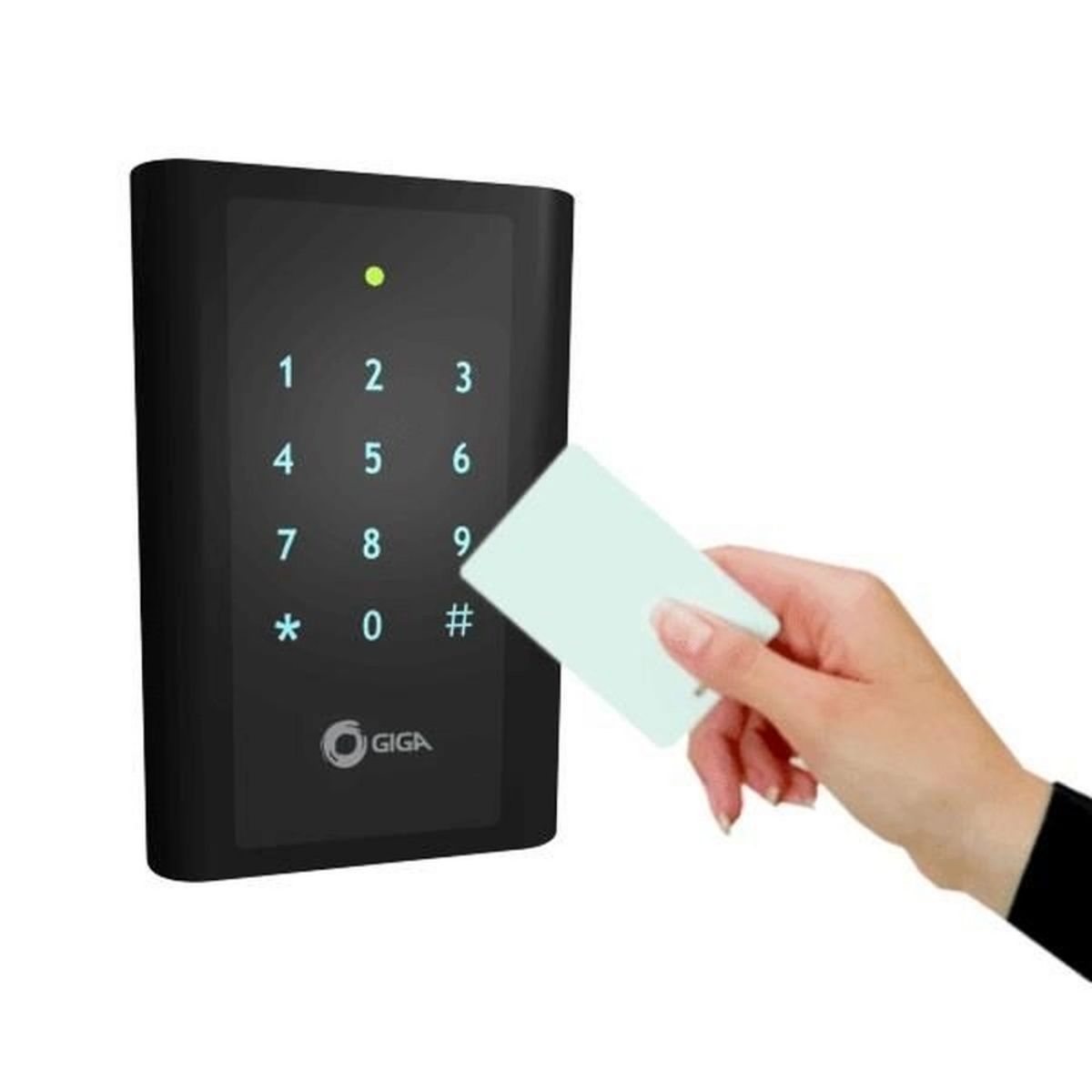Cartão de Proximidade RFID Giga - GSCARDCX