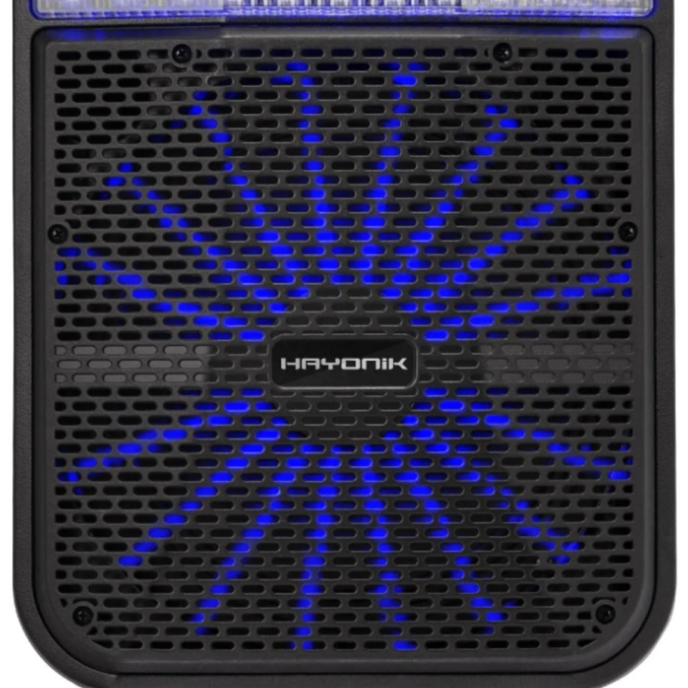 Caixa de Som Multiuso Portátil Bluetooth/MicroSD/USB/FM 80W 10" GO!POWER 100 Hayonik 66493