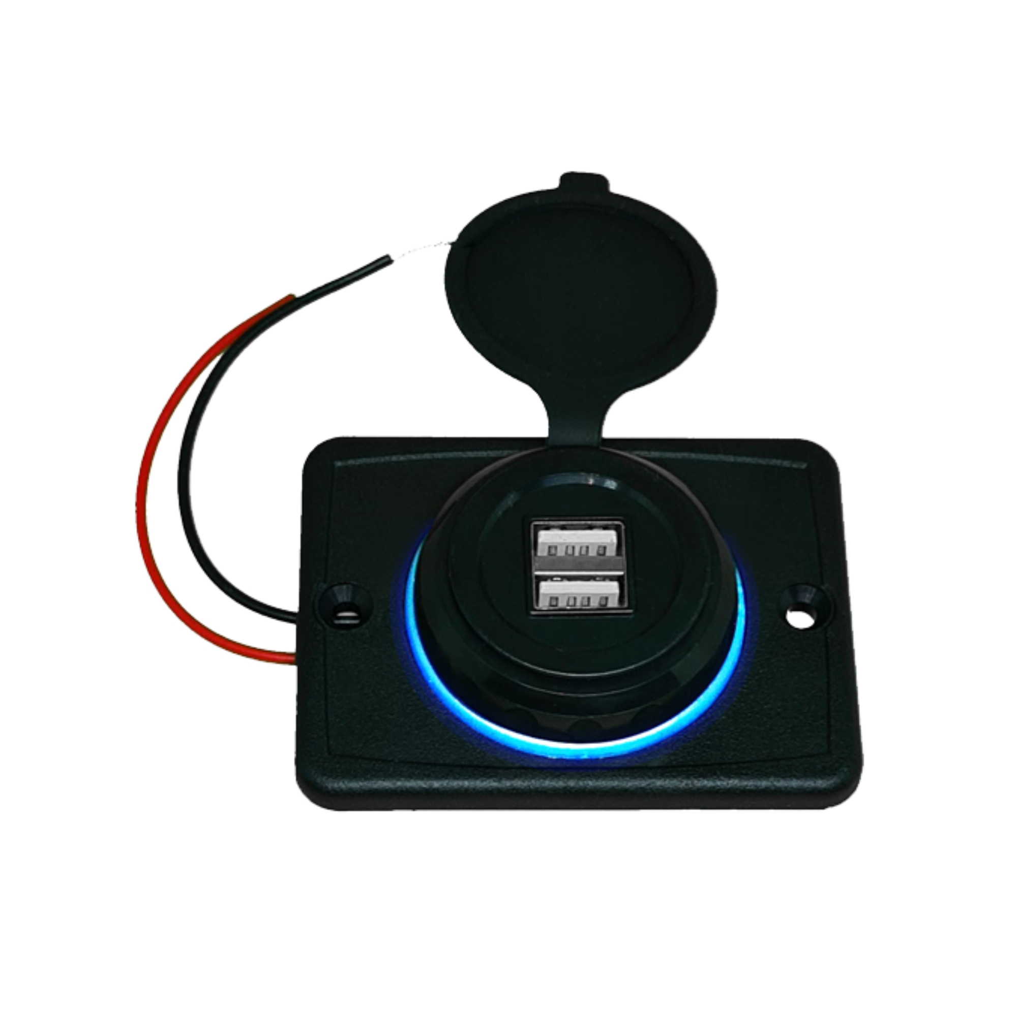 Tomada USB para recarregar celular automotivo 12V Roadstar RS110-2UBR