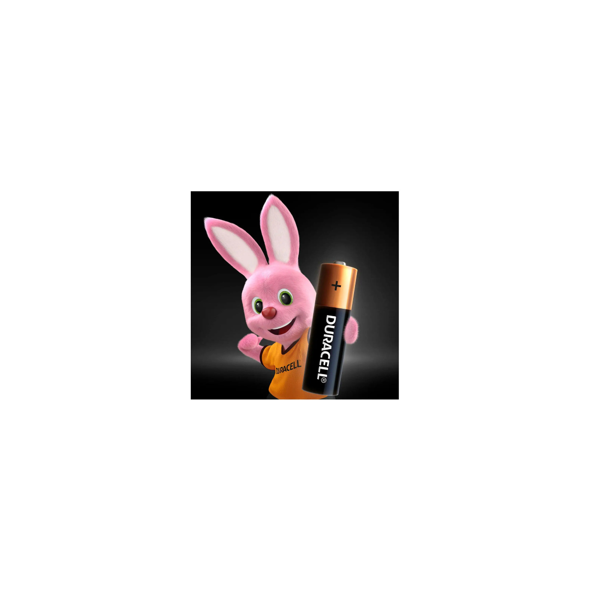 Pilha Alcalina AAA 8 Unidades Duracell MN2400B8