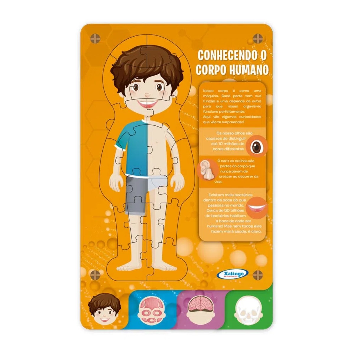 Quebra-Cabeça Steam Corpo Humano Xalingo - 50498