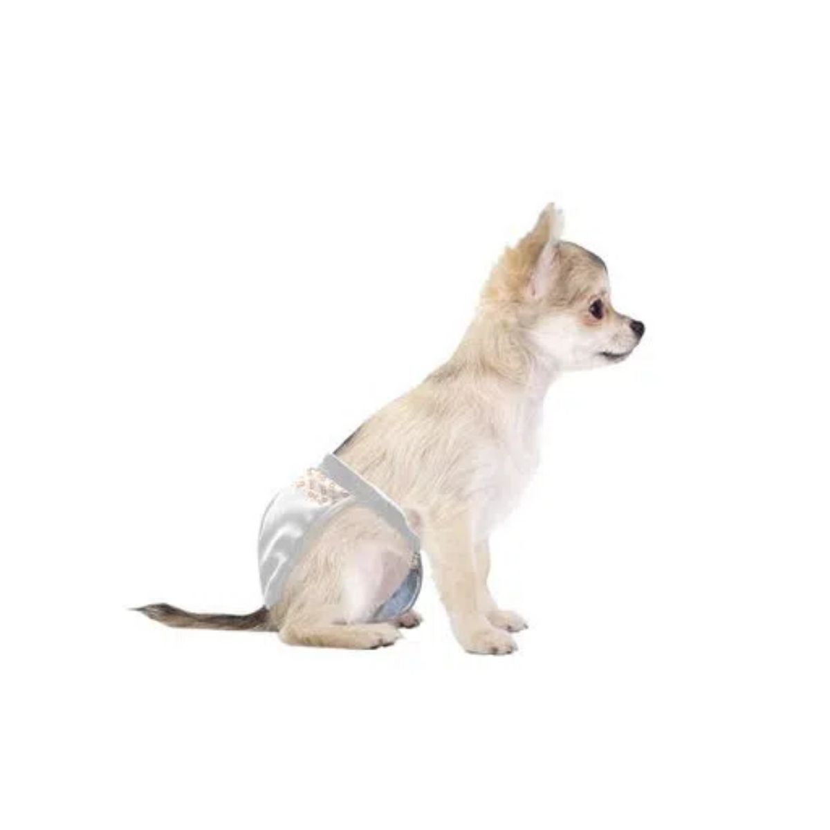 Fralda Higiênica Descartável para Cachorros Diaper Fêmea PP 12pcs Ultra Absorvente Mimo - PP001