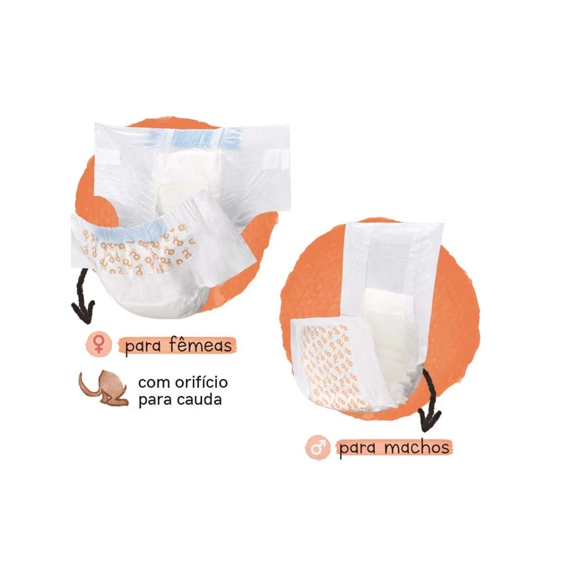 Fralda Higiênica Descartável Diaper Fêmea M 12pcs Branco Mimo - PP003