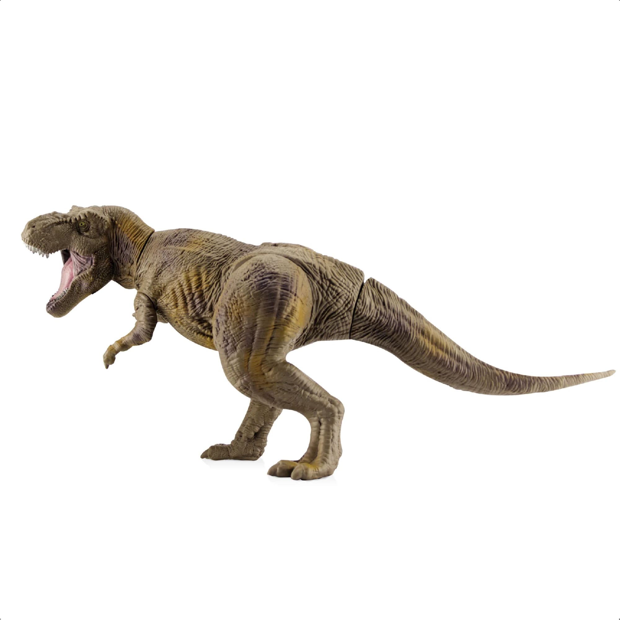 Brinquedo Dinossauro T-Rex 50CM Articulado Detalhes Realistas E Autênticos +3 Anos Mimo Toys -0750