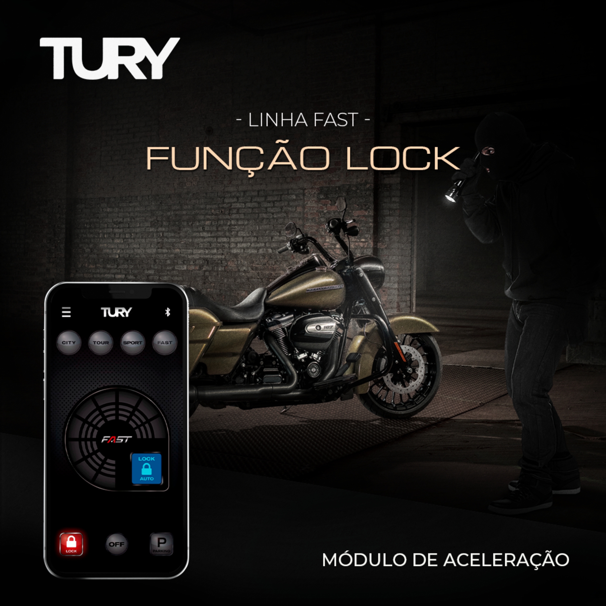Módulo de Potência para Motos Softail Slim/Electra Glide/Road Glide/King/Street Tury-FAST_IP_3.3H