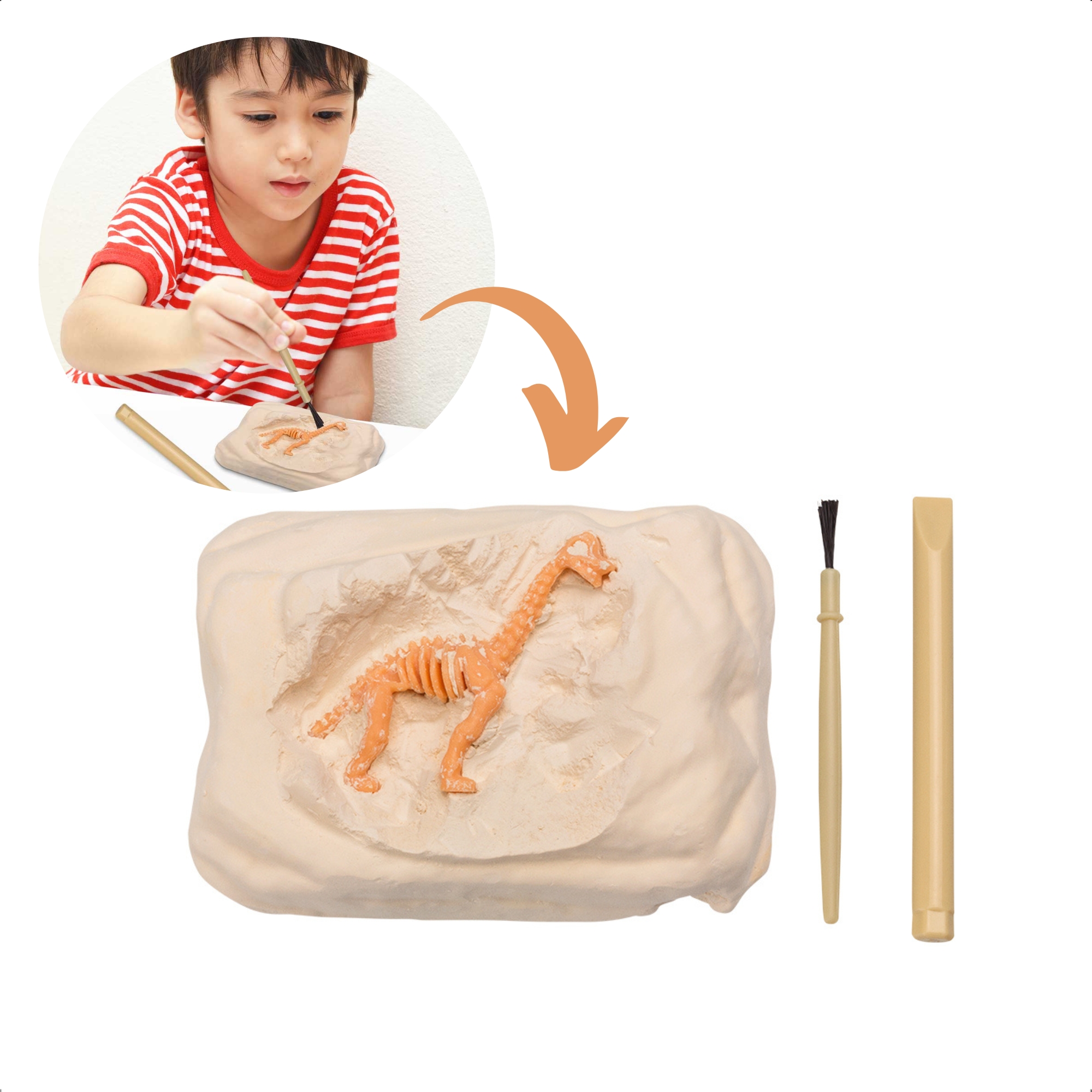 Brinquedo Sortido Escavação Dinossauro Fóssil Jurassic Fun Kit Escavação - BR1447 Multikids