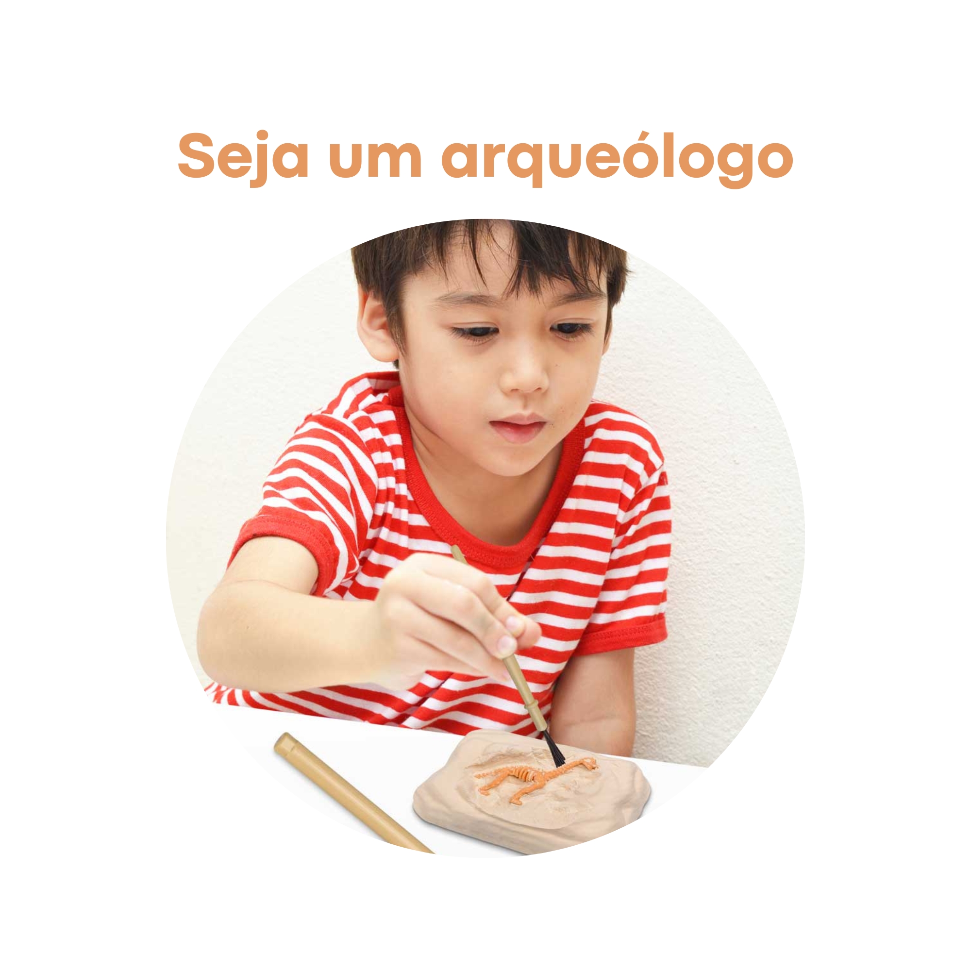 Brinquedo Sortido Escavação Dinossauro Fóssil Jurassic Fun Kit Escavação - BR1447 Multikids