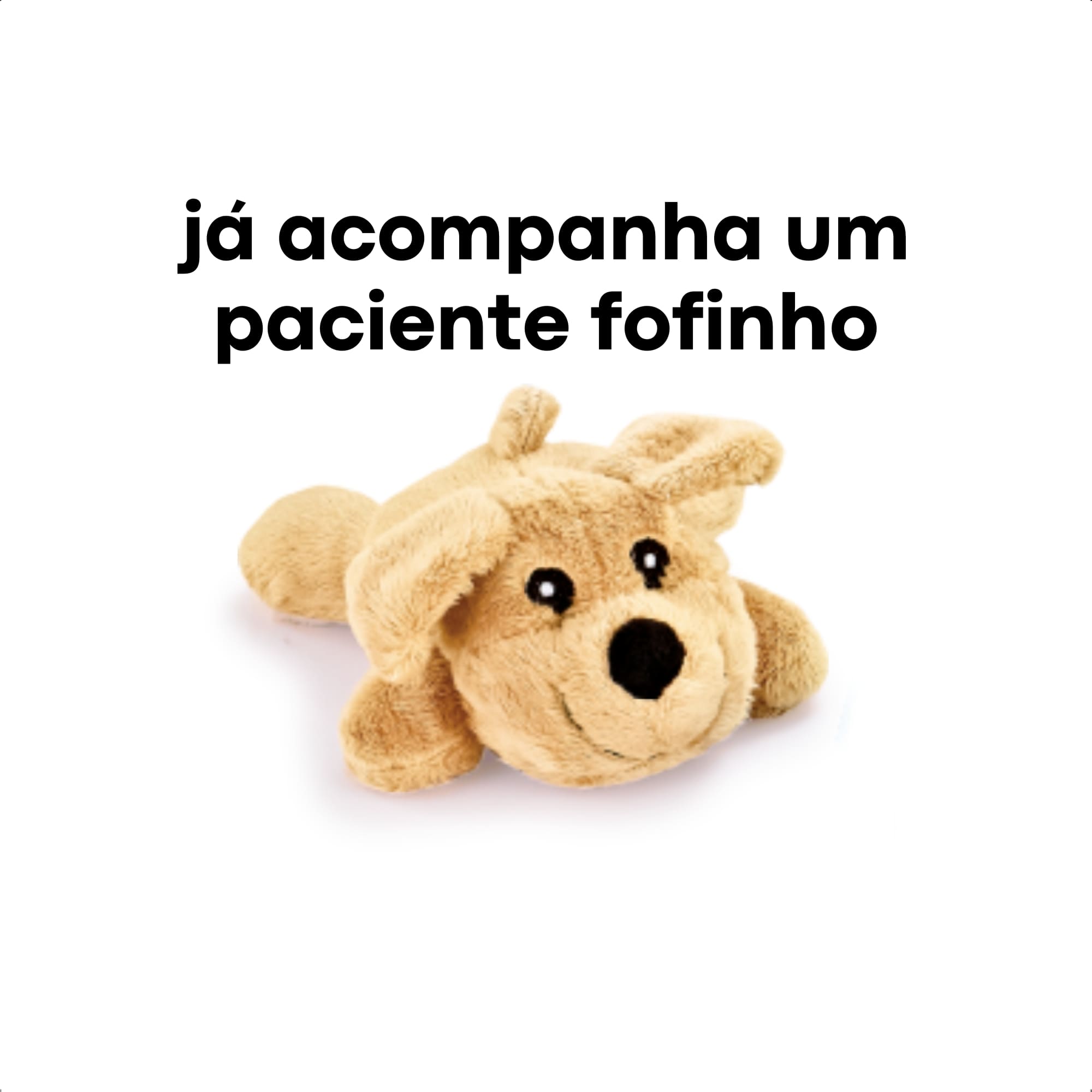 Brinquedo Infantil Kit Veterinário M com Cachorro de Pelúcia 14 Peças Fenix Brinquedos - VET-709