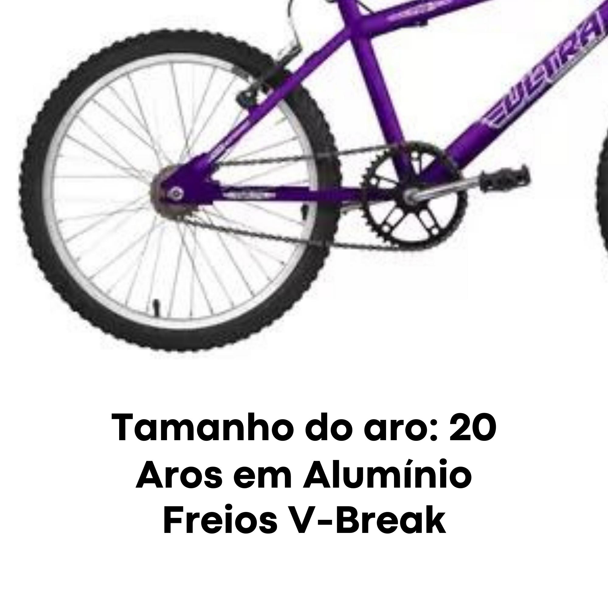 Bicicleta Ultrabikes Feminina Aro 20 Quadro Aço Carbono Pedivela 140mm Pro Tork - BMF20-01LI