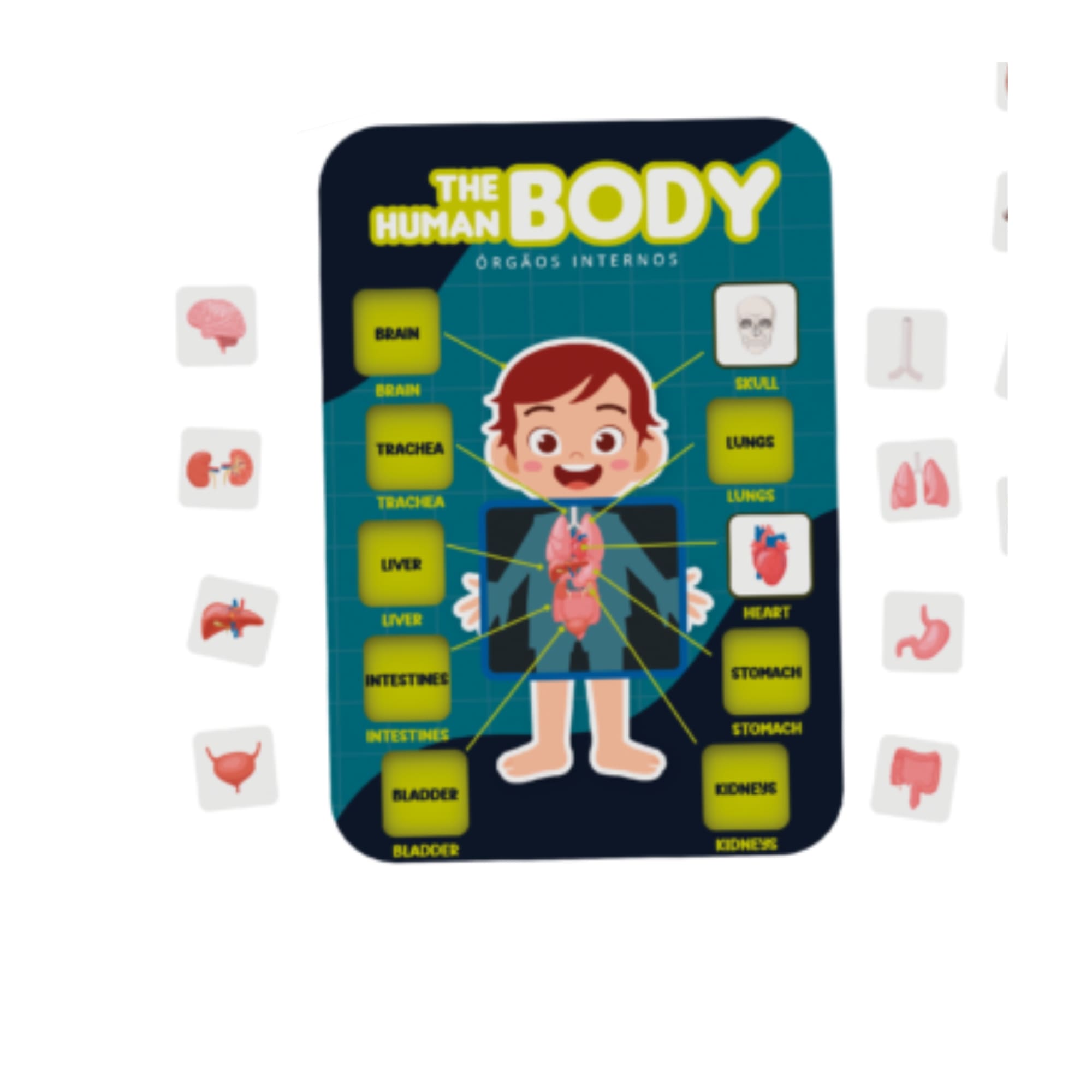 Brinquedo Partes do Corpo Humano - Aprendendo Inglês - 20 peças - Xalingo 12854