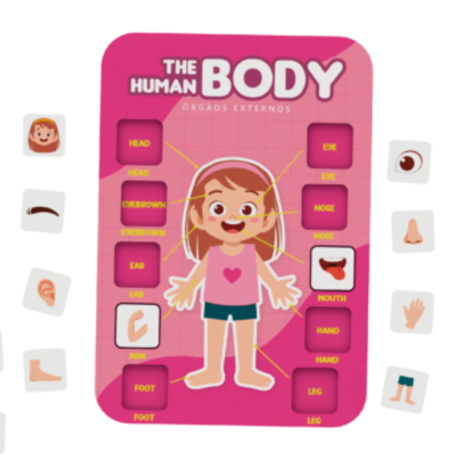 Brinquedo Partes do Corpo Humano - Aprendendo Inglês - 20 peças - Xalingo 12854