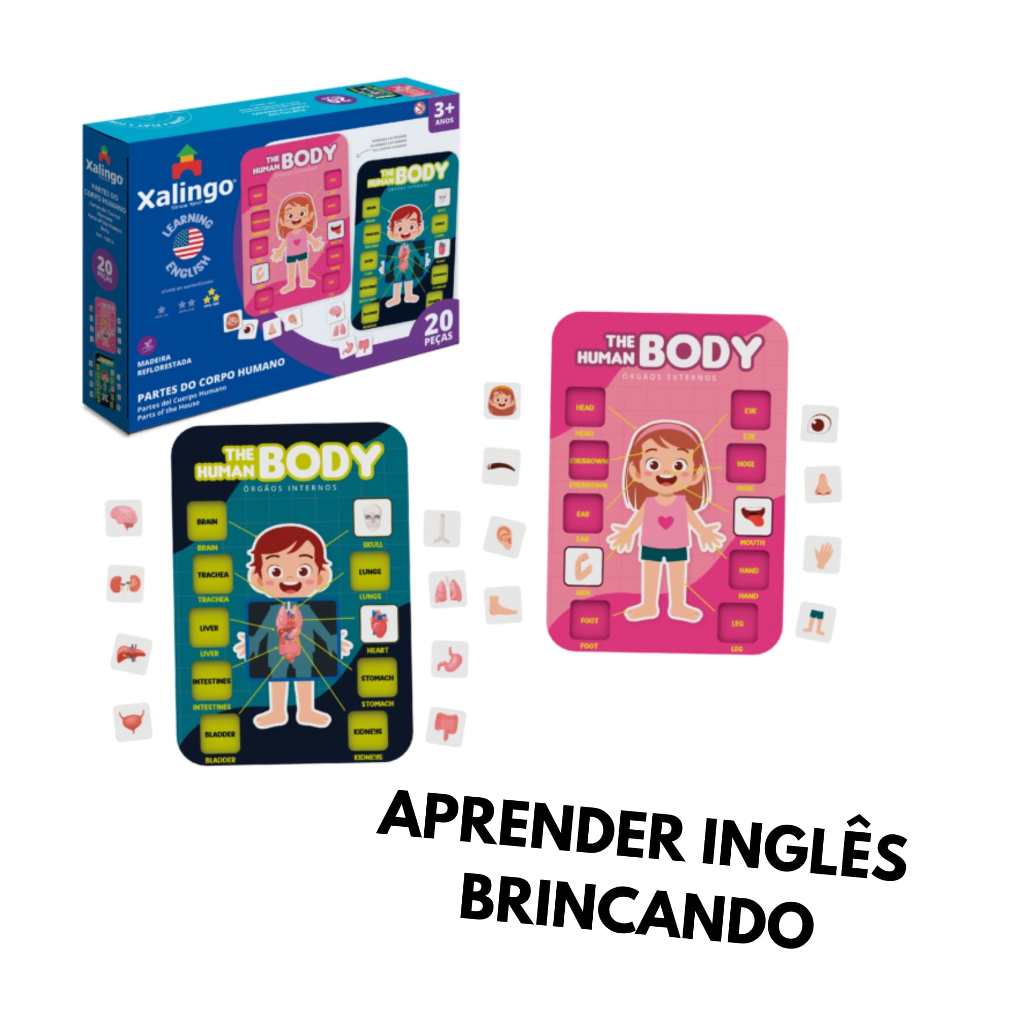 Brinquedo Partes do Corpo Humano - Aprendendo Inglês - 20 peças - Xalingo 12854