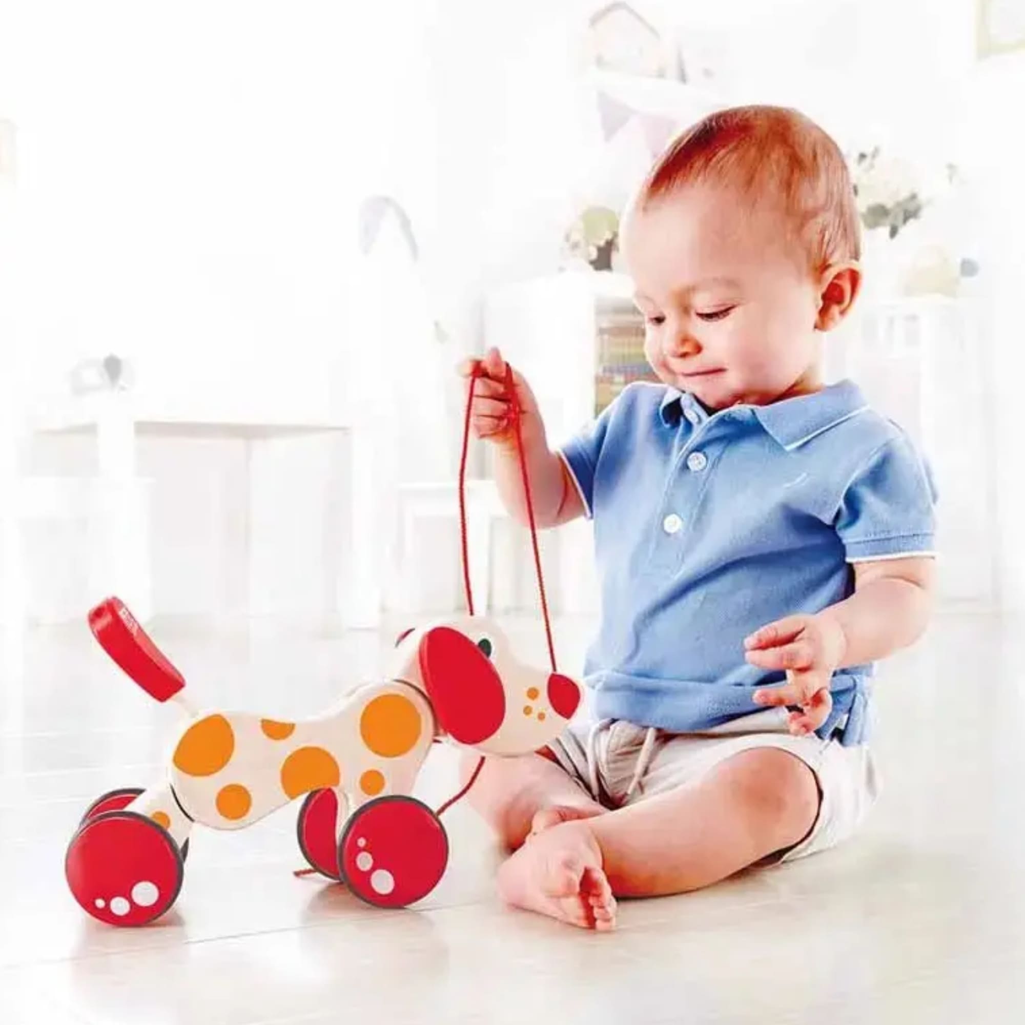 Brinquedo de puxar de Madeira - Pepe, o Cachorro de Passeio - Hape Xalingo 67565