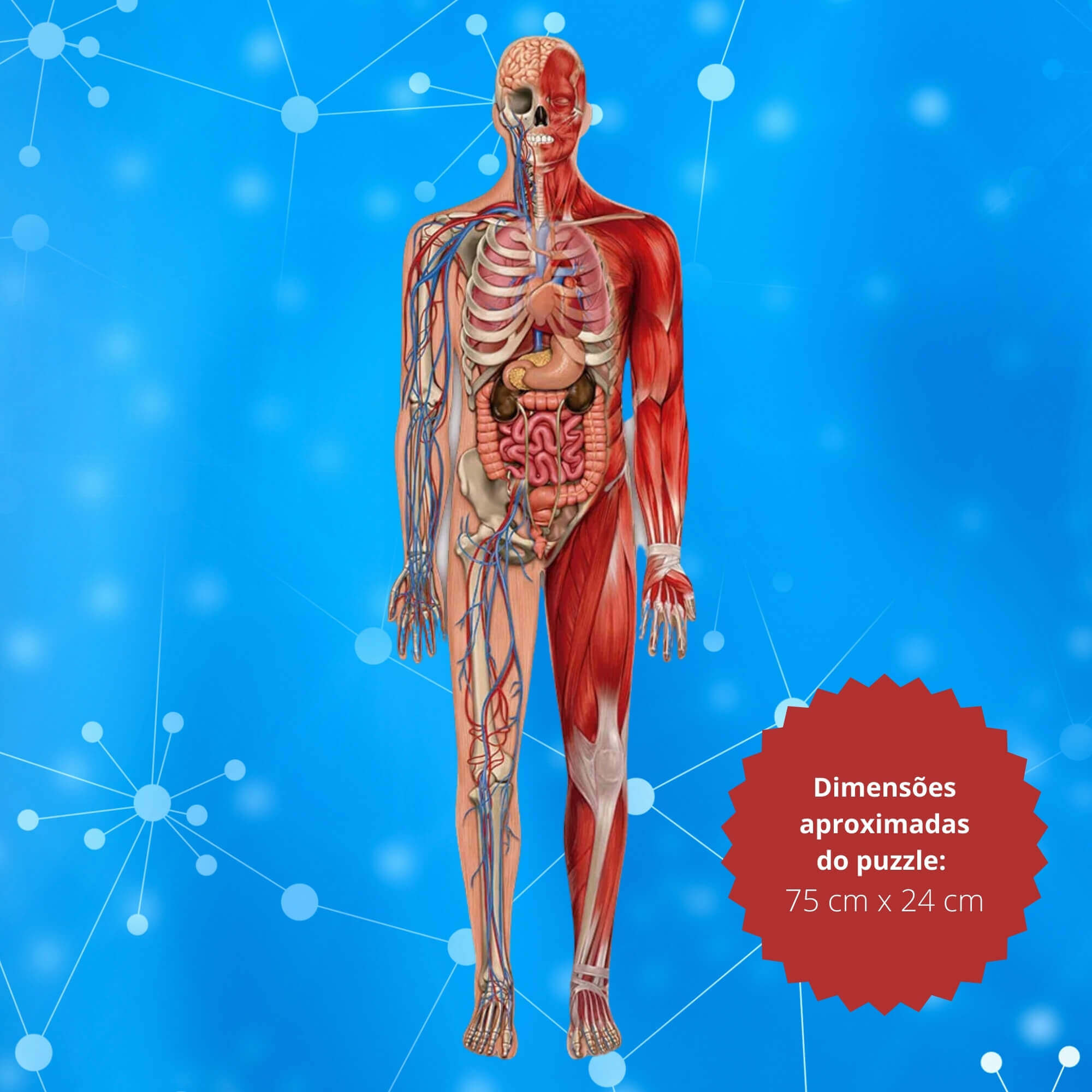 Brinquedo Quebra-Cabeça Puzzle 100 Peças Play Gigante Corpo Humano Grow - 03636