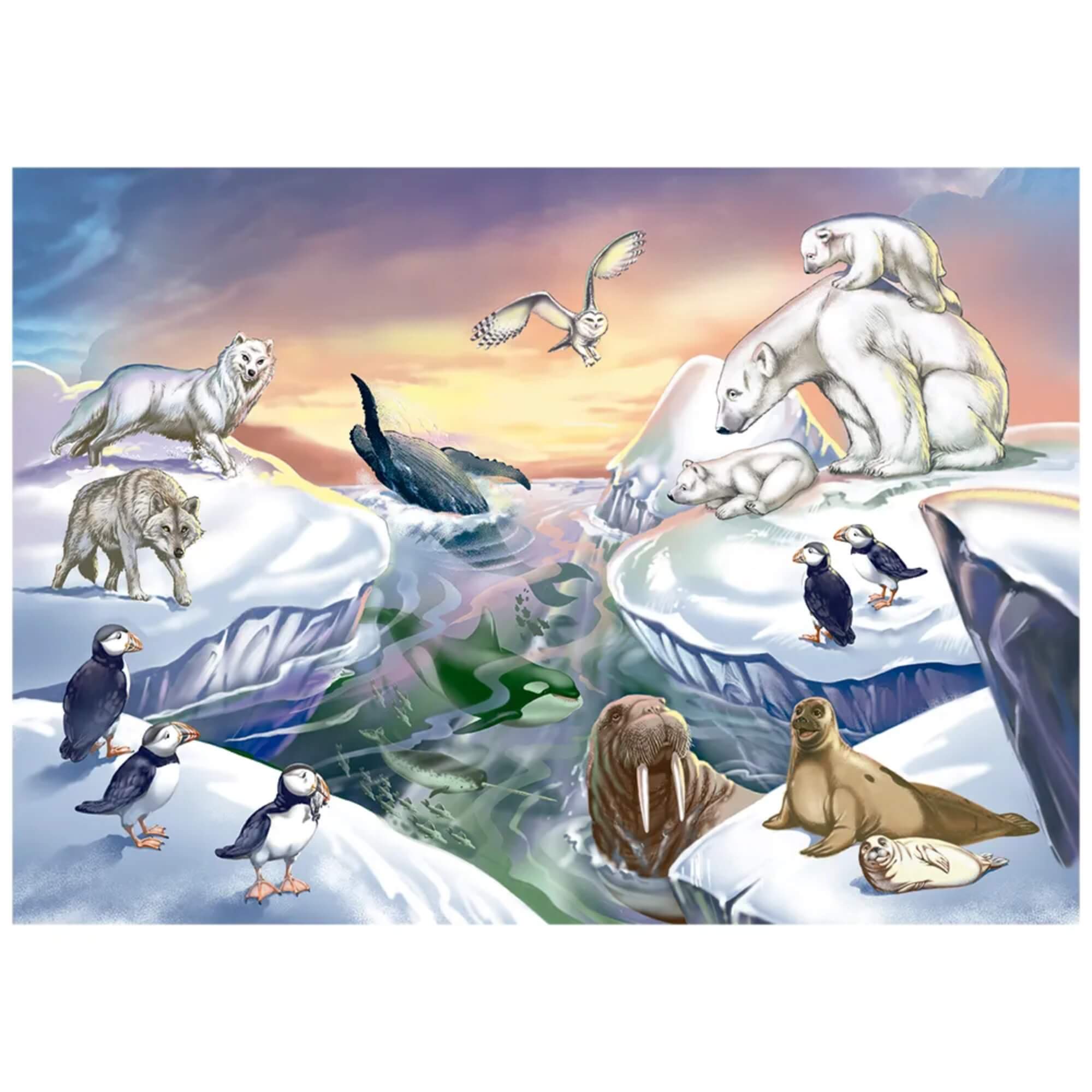 Quebra-Cabeça Puzzle Gigante 48 Peças Mundo Polar Grow - 04560