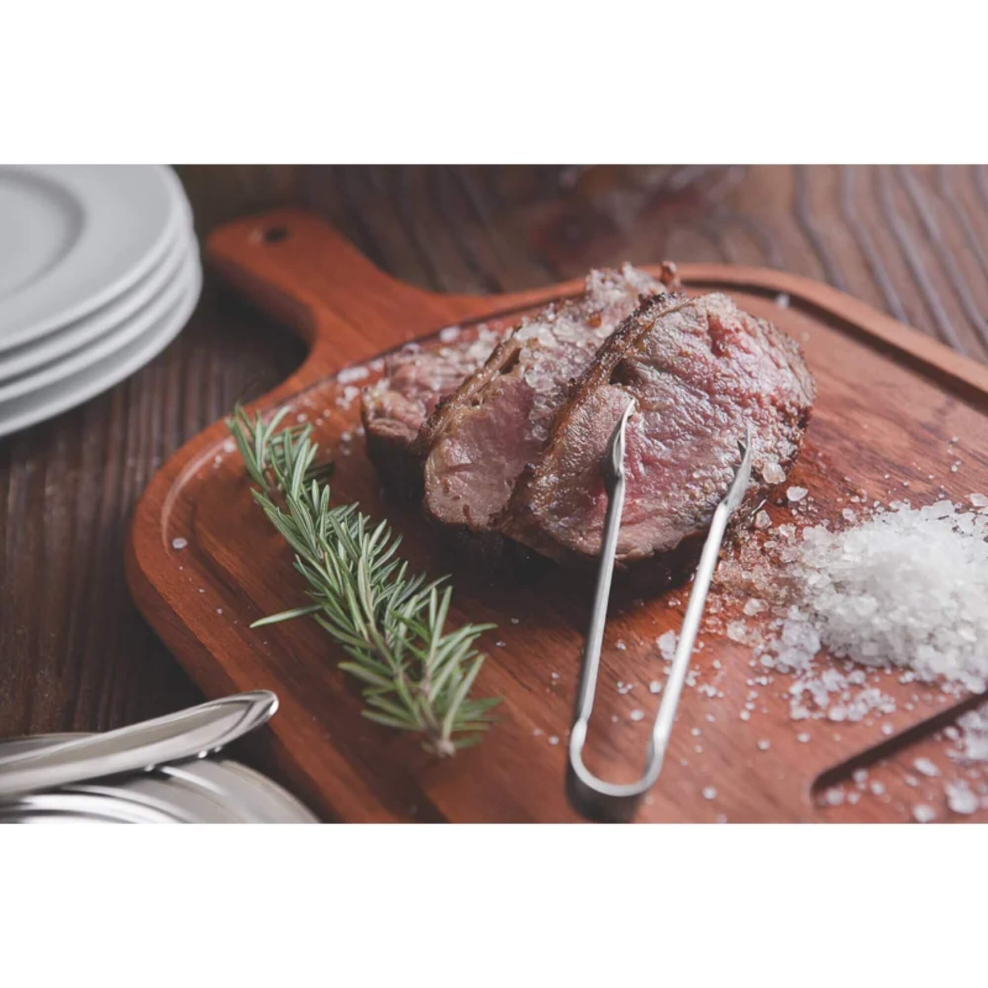 Pegador para Churrasco Tramontina Utility em Aço Inox Tramontina 63800682
