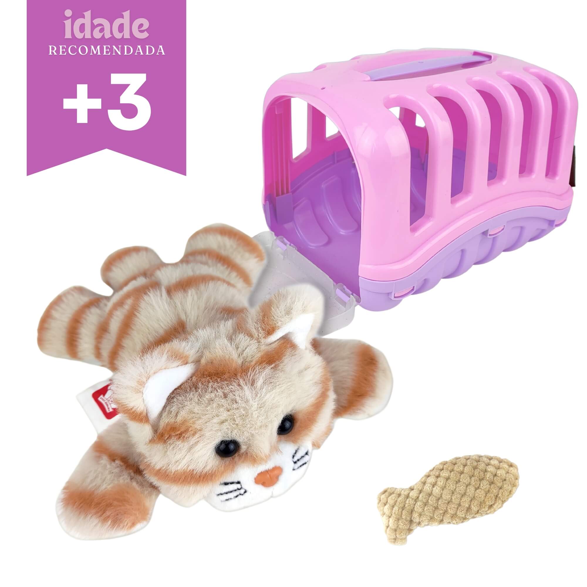 Brinquedo Infantil Pet Cat Gatinho na Casinha Sortido e Unitário Coloria - 420203801