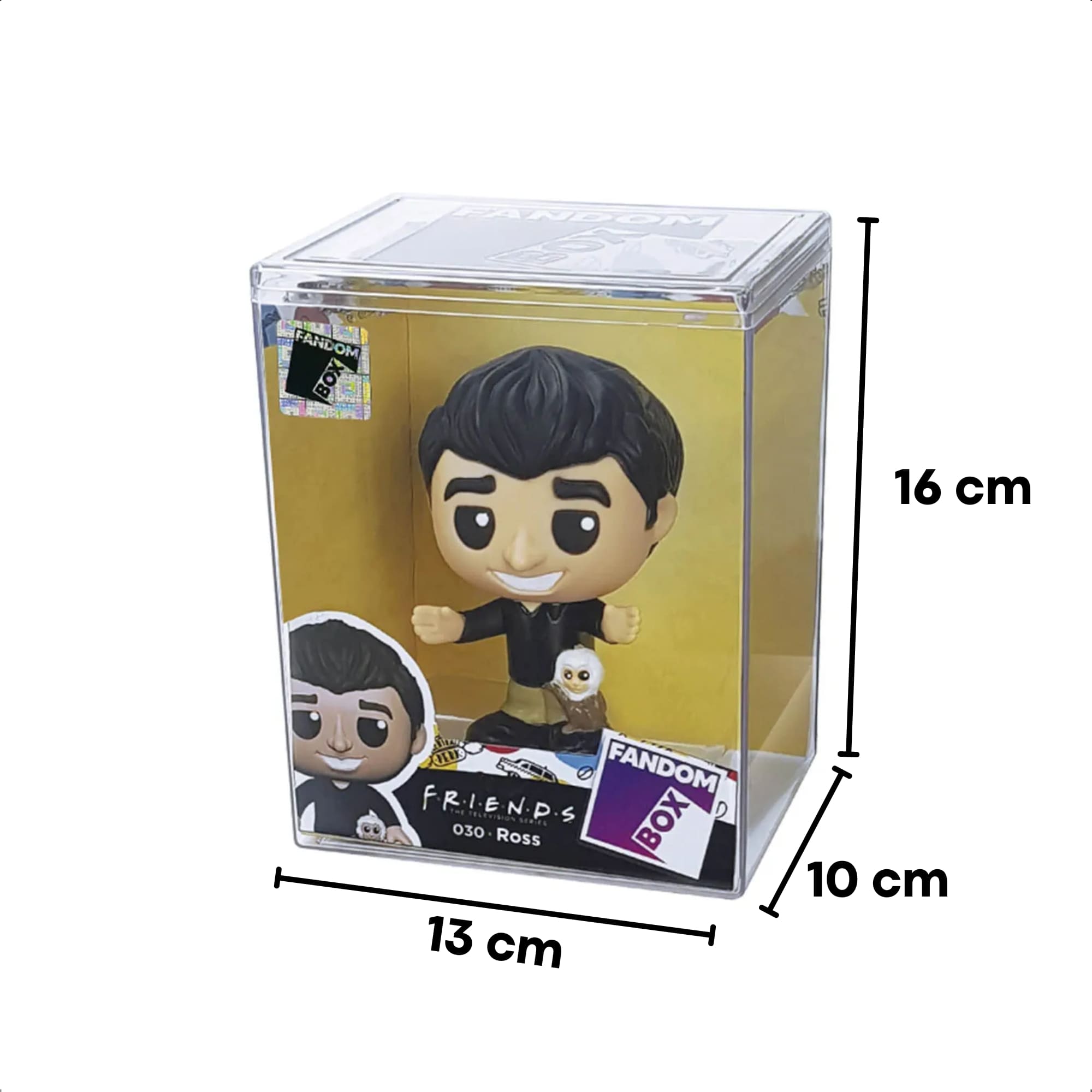 VAR Coleção Friends 1x Boneco Fandom Box - Líder Personagem:Ross