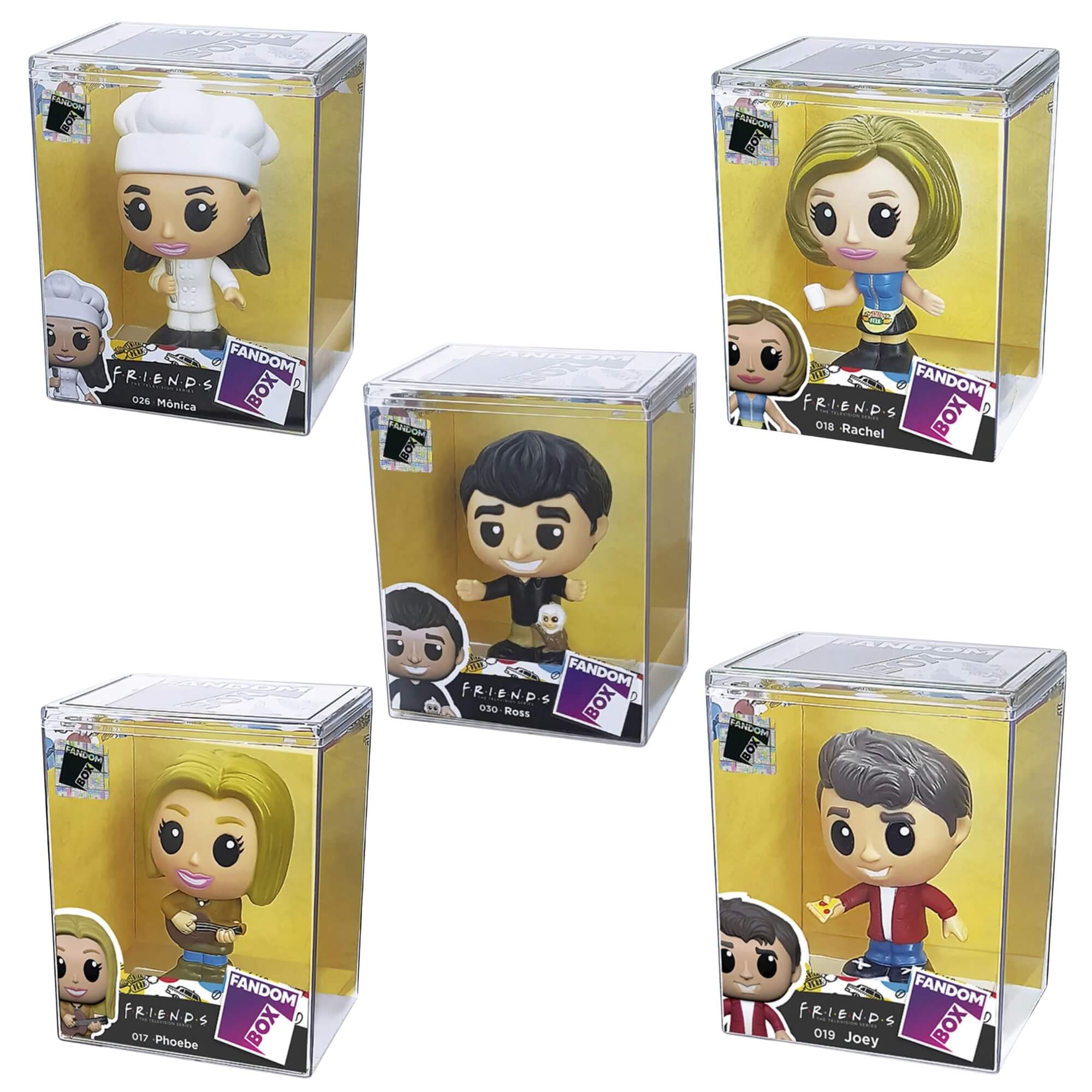 VAR Coleção Friends 1x Boneco Fandom Box - Líder
