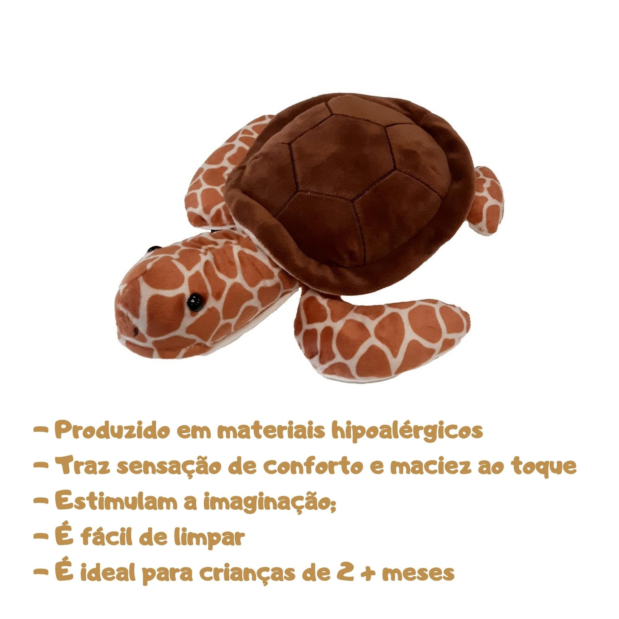 VAR Pelúcia 23cm Primeira Infância 1x Unidade - MultiKids Pelúcia:Tartaruga