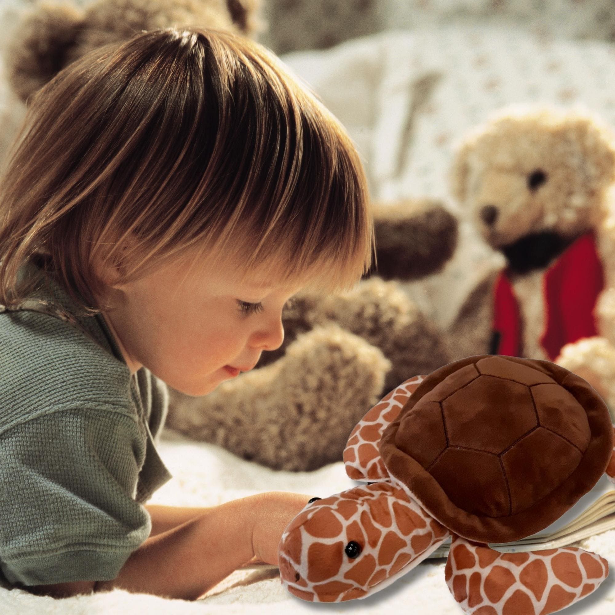 VAR Pelúcia 23cm Primeira Infância 1x Unidade - MultiKids Pelúcia:Tartaruga