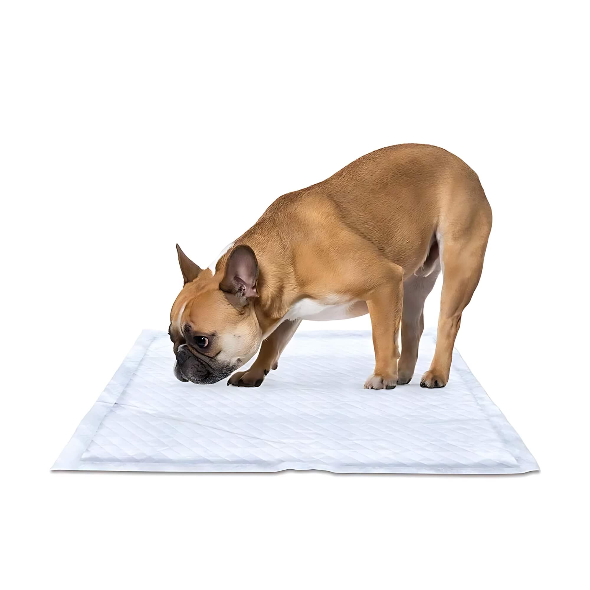 Tapete Higiênico Tico Pads Slim 60x55 Blue Multilaser Mimo - PP160