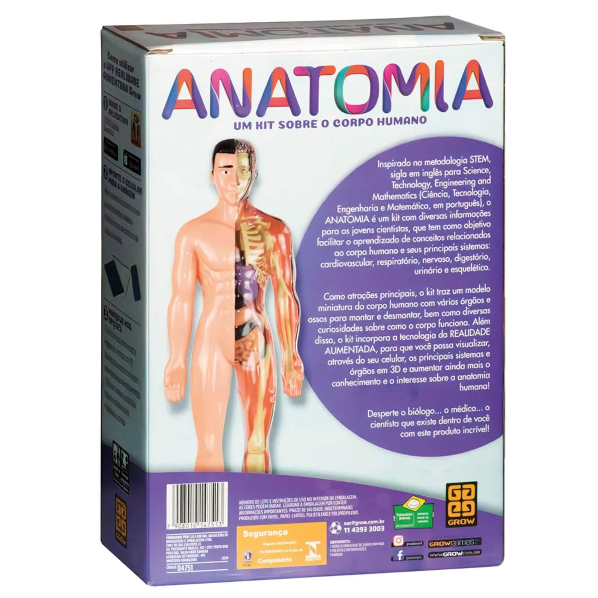 Jogo Anatomia Um Kit sobre o Corpo Humano Grow - 04751