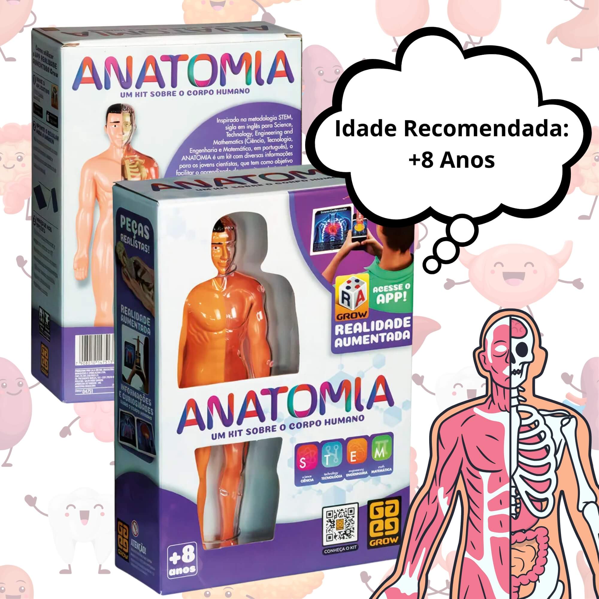 Jogo Anatomia Um Kit sobre o Corpo Humano Grow - 04751