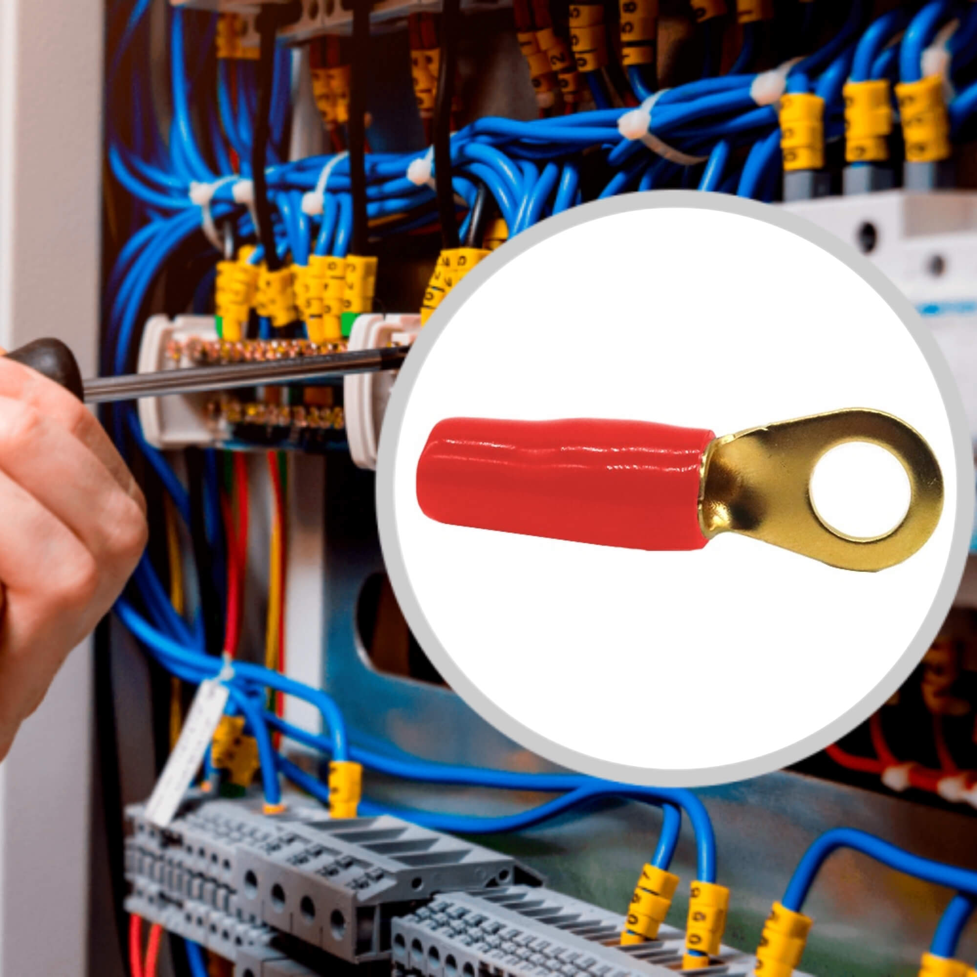 Terminal Olhal Anel Pré Isolado 6 AWG Vermelho 8mm Pct C/ 50 Unidades Tech One - PW-B-CX-50-2562