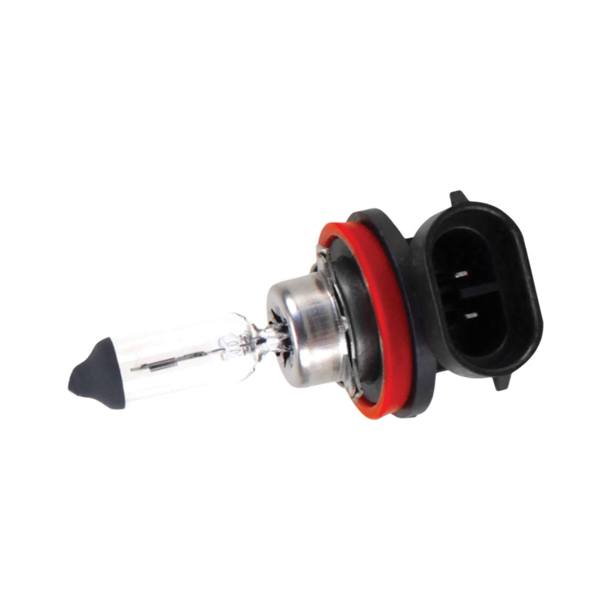 Lâmpada Halógena Standart H11B 12V 55W PGJY19-2 Shocklight - SL-120011B
