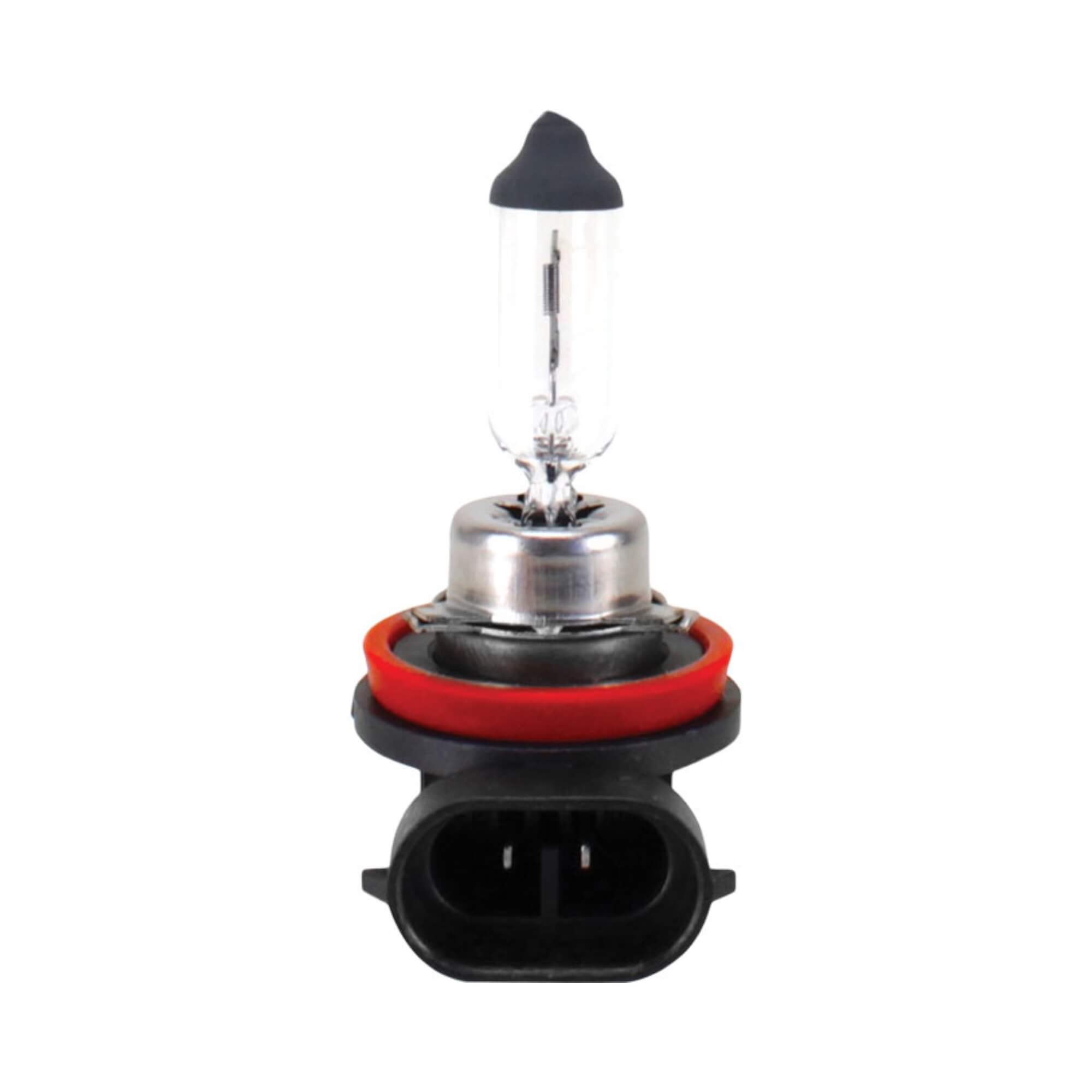 Lâmpada Halógena Standart H11B 12V 55W PGJY19-2 Shocklight - SL-120011B
