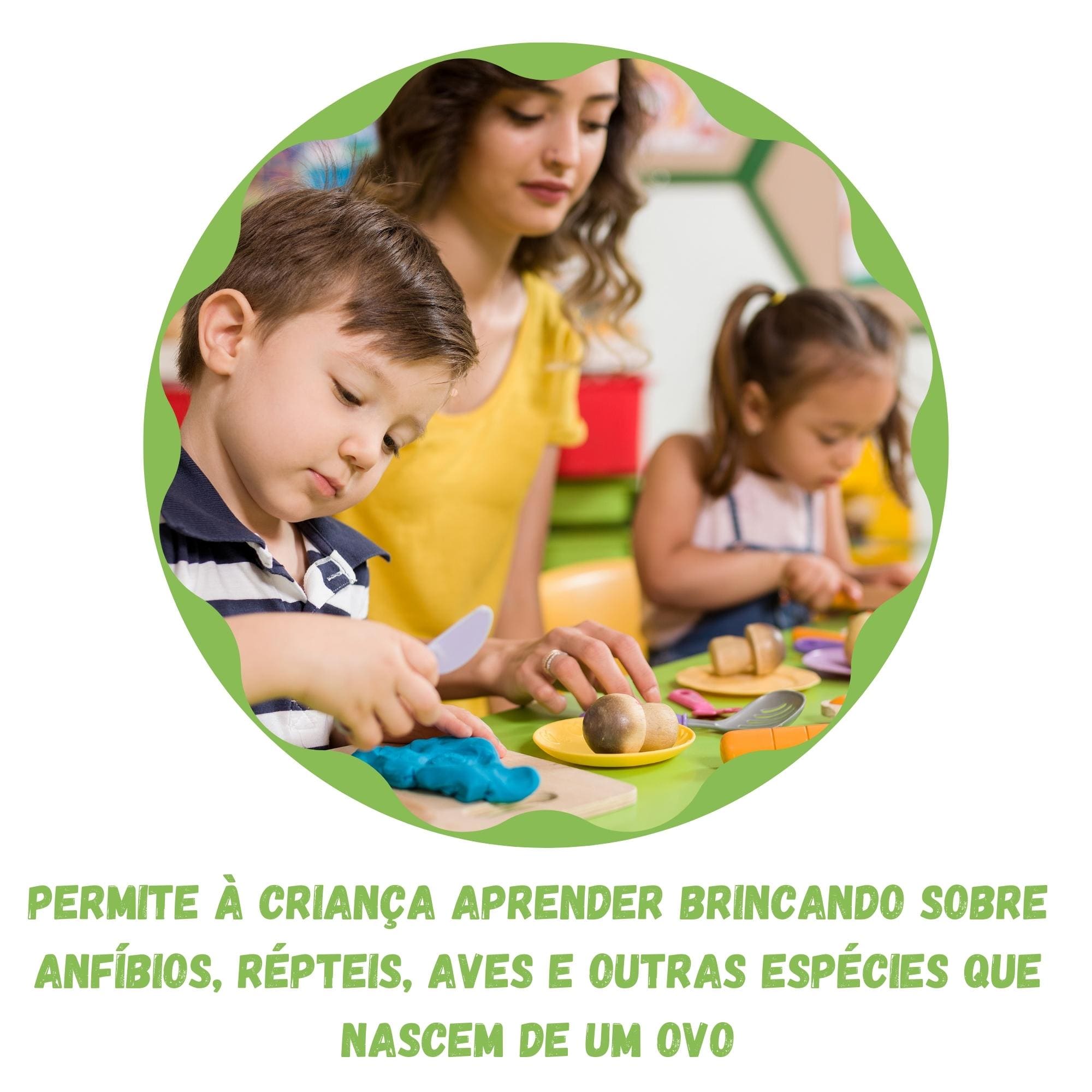 VAR Jogos Educativos Xalingo – Diversão que Ensina! (Escolha o Modelo) Tipo:Quebra-Cabeça Encaixe Ovinhos