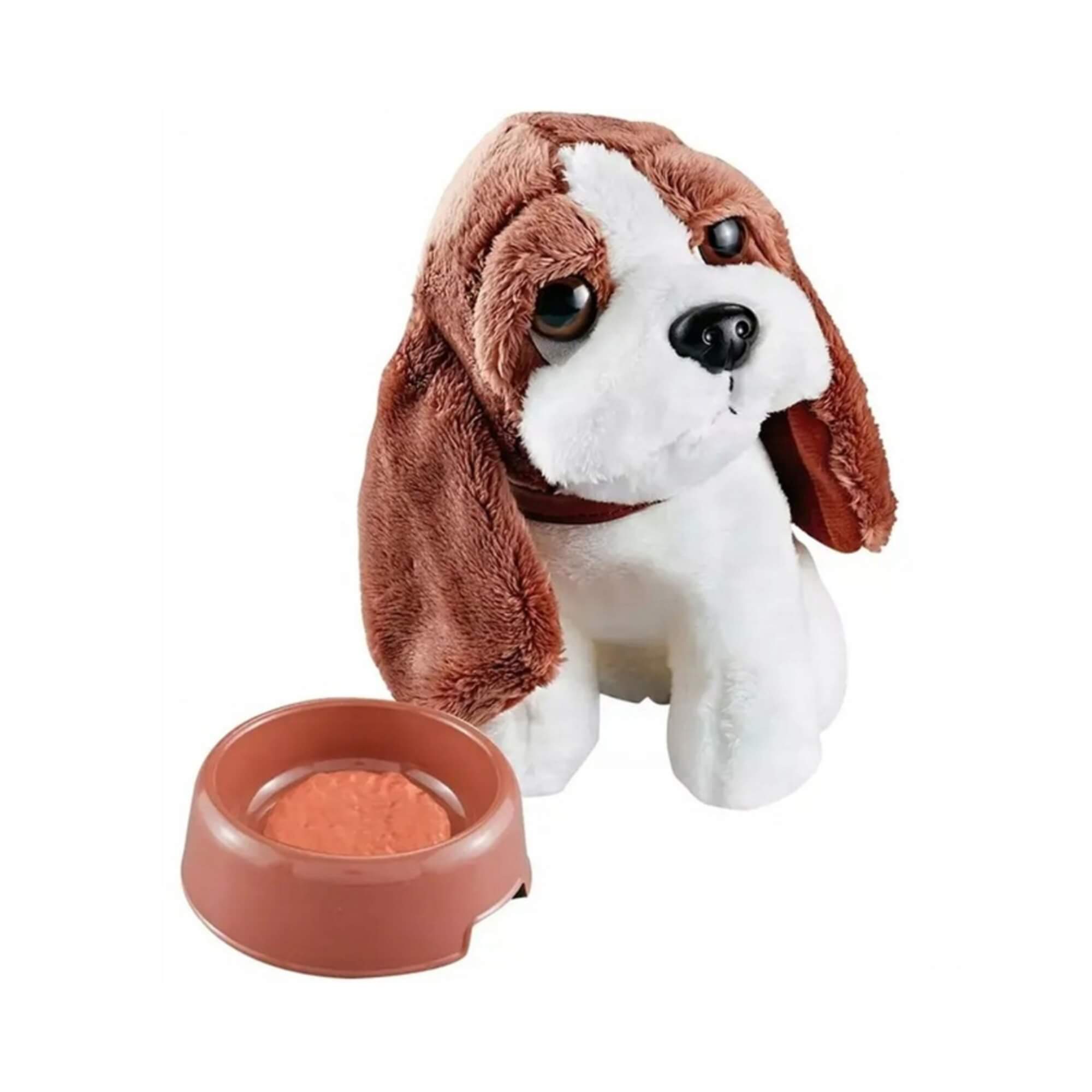 Brinquedo Infantil Brincando de Veterinário 12 Peças Xalingo - 06000