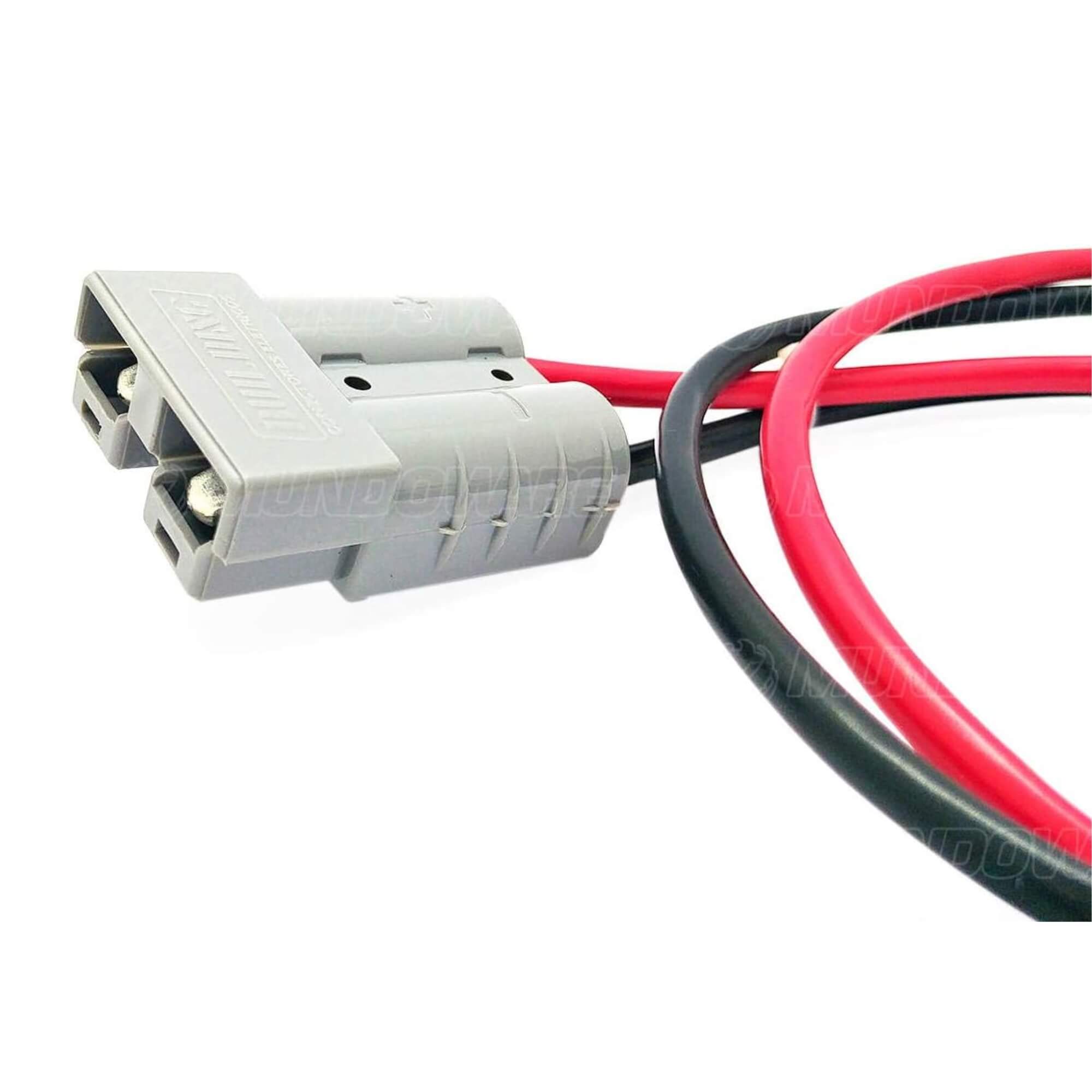 Cabo p/ Módulo de Bateria 24V 55cm Ragtech - 20CAB0020