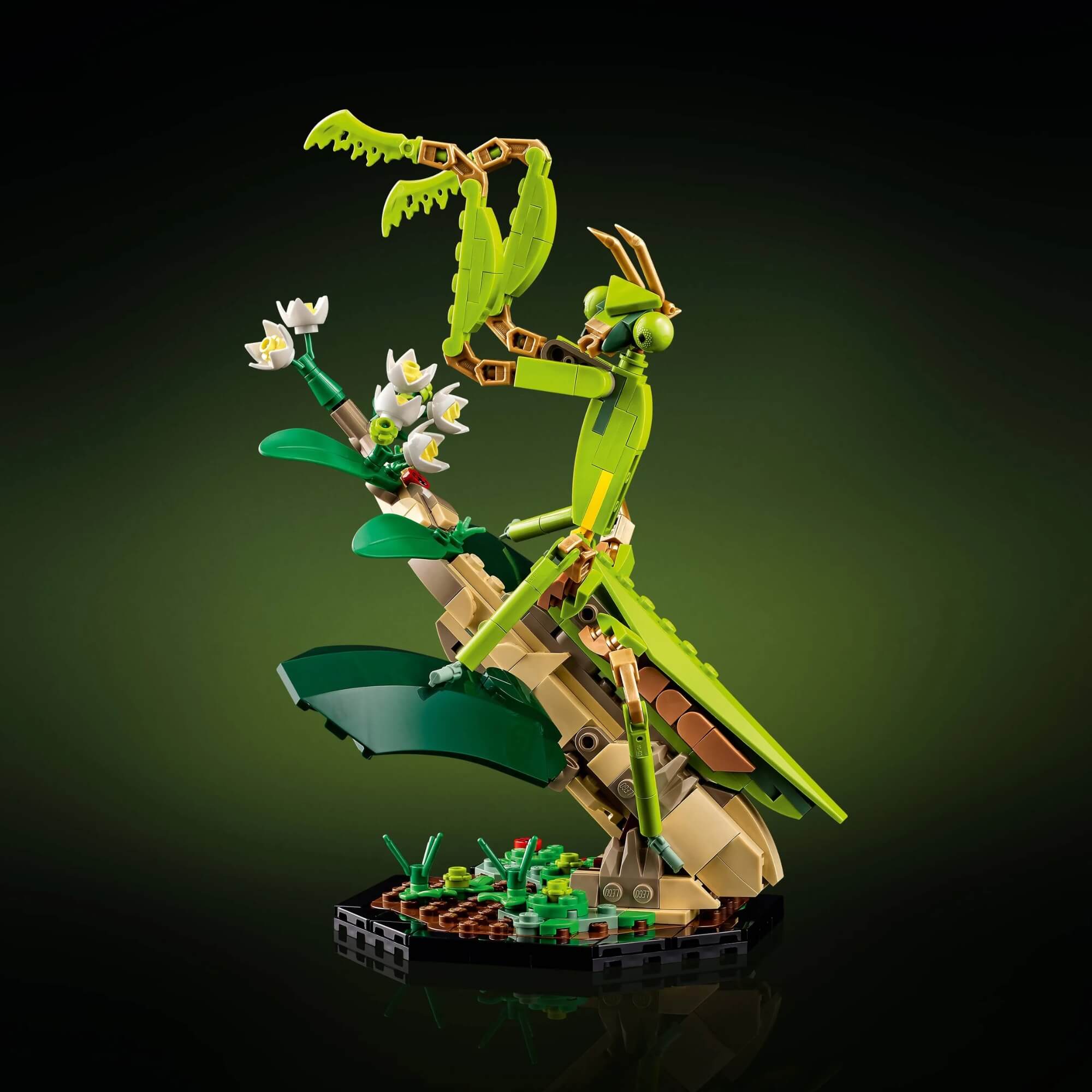 LEGO Ideas - A Coleção de Insetos 1111 peças - 4111121342