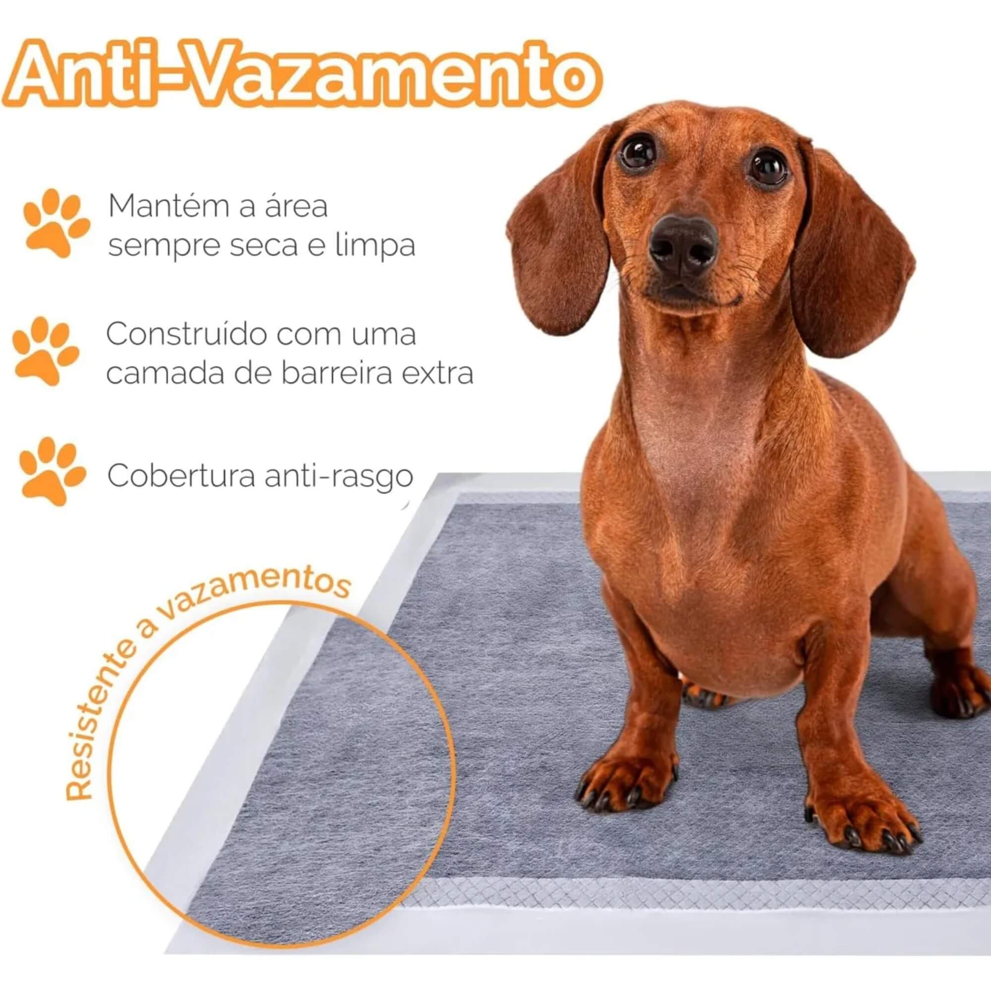 Tapete Higiênico Carbon com 6 Camadas de Proteção 30 Peças 60X80 Jambo Pets - 10933
