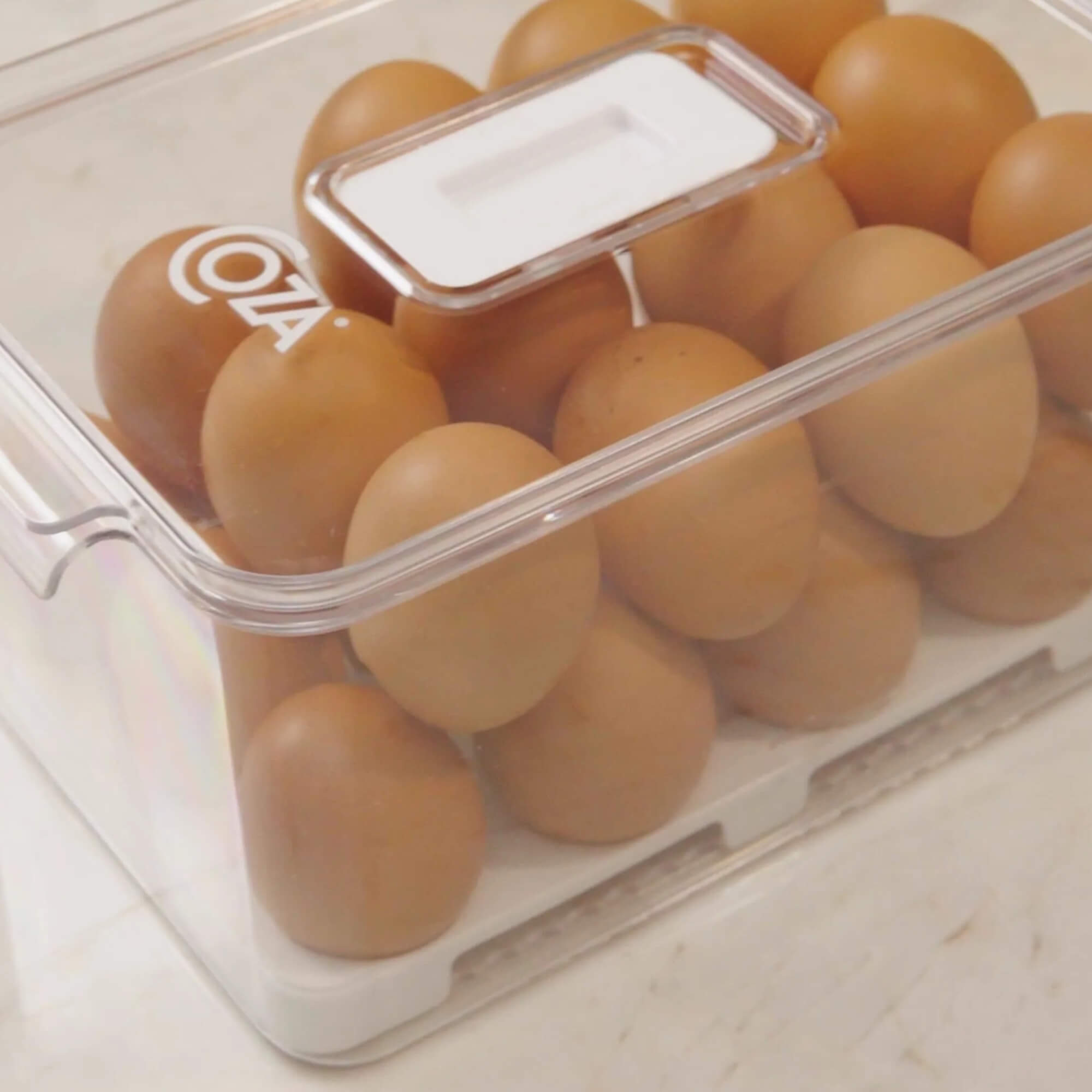 Organizador de Ovos com Tampa Coza Dry 24 Unidades Brinox - 10198/3009