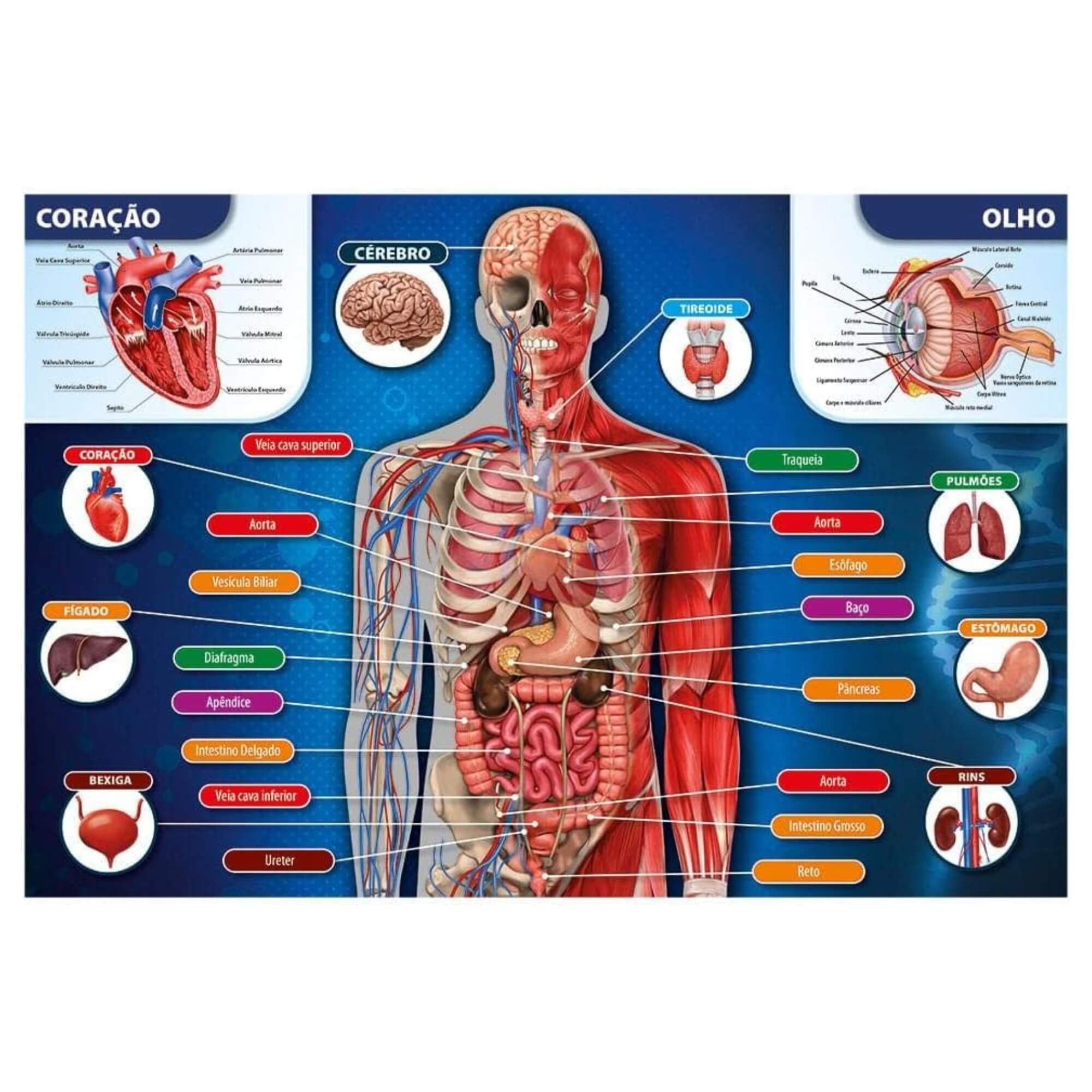 Quebra-cabeça 200 peças Corpo Humano Grow - 03937