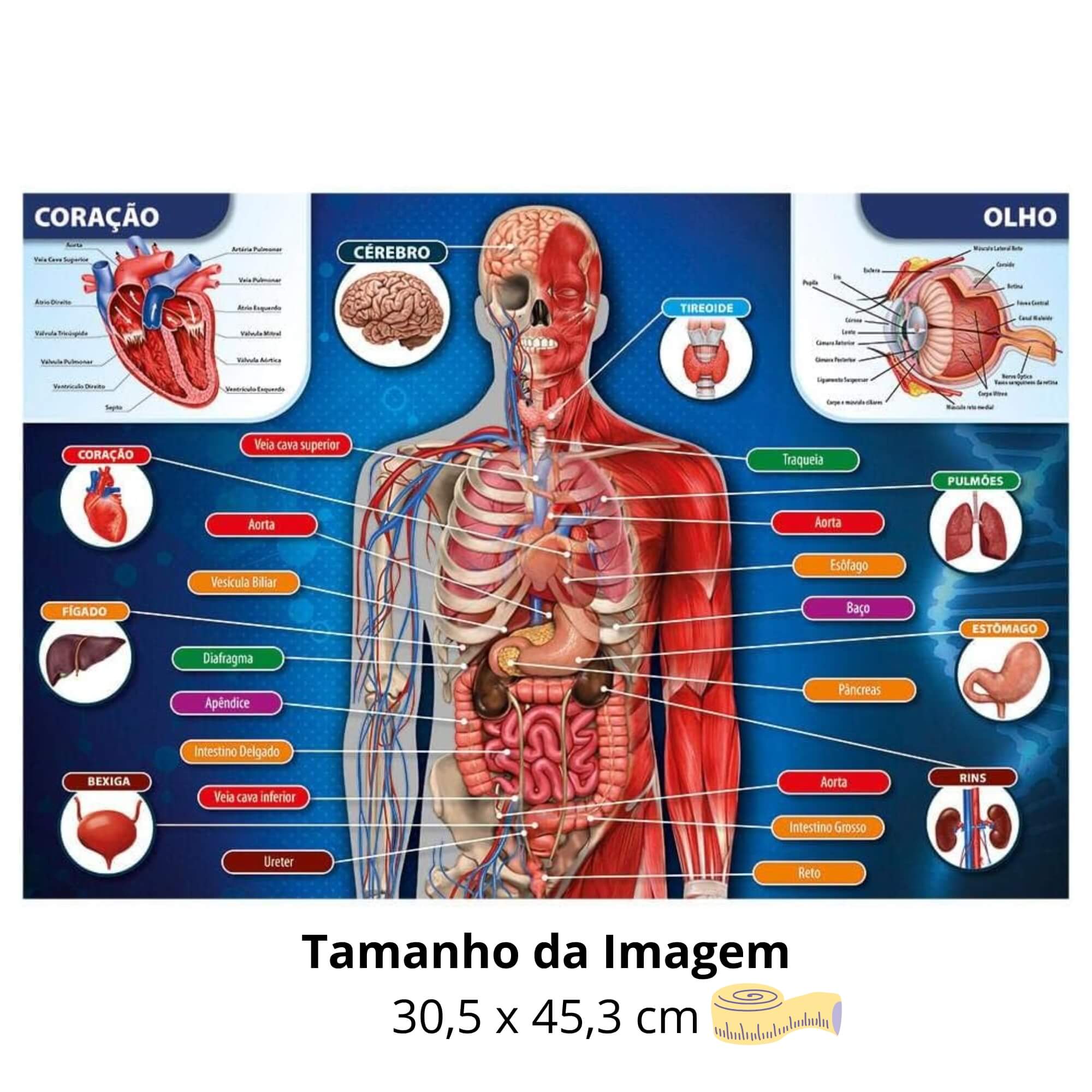 Quebra-cabeça 200 peças Corpo Humano Grow - 03937