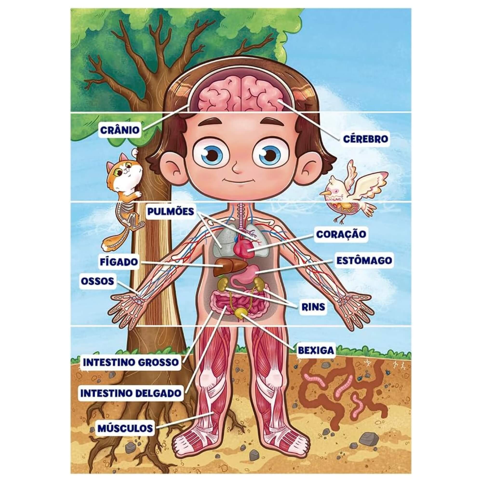 Quebra-cabeça 100 peças Corpo Humano Grow - 04919