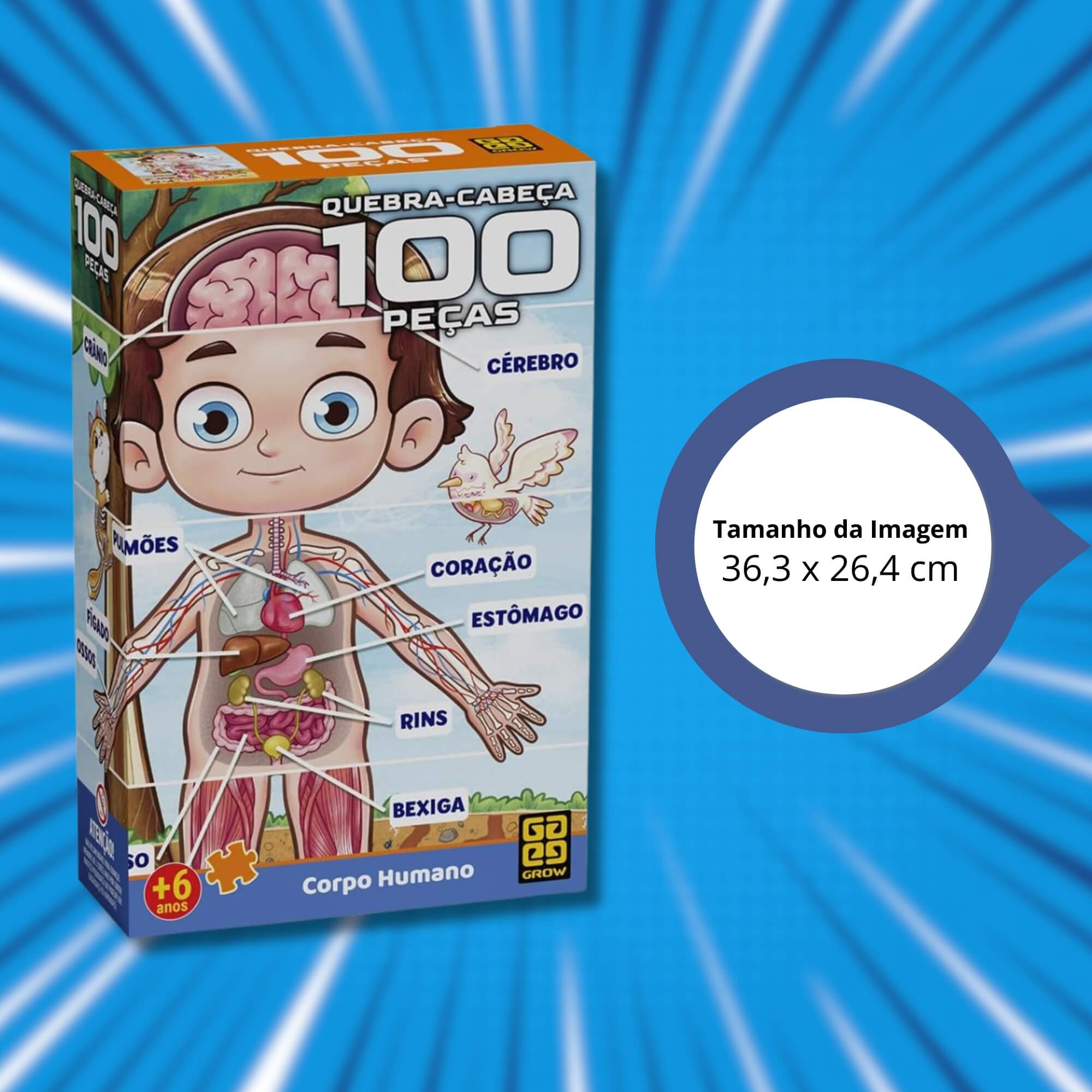 Quebra-cabeça 100 peças Corpo Humano Grow - 04919