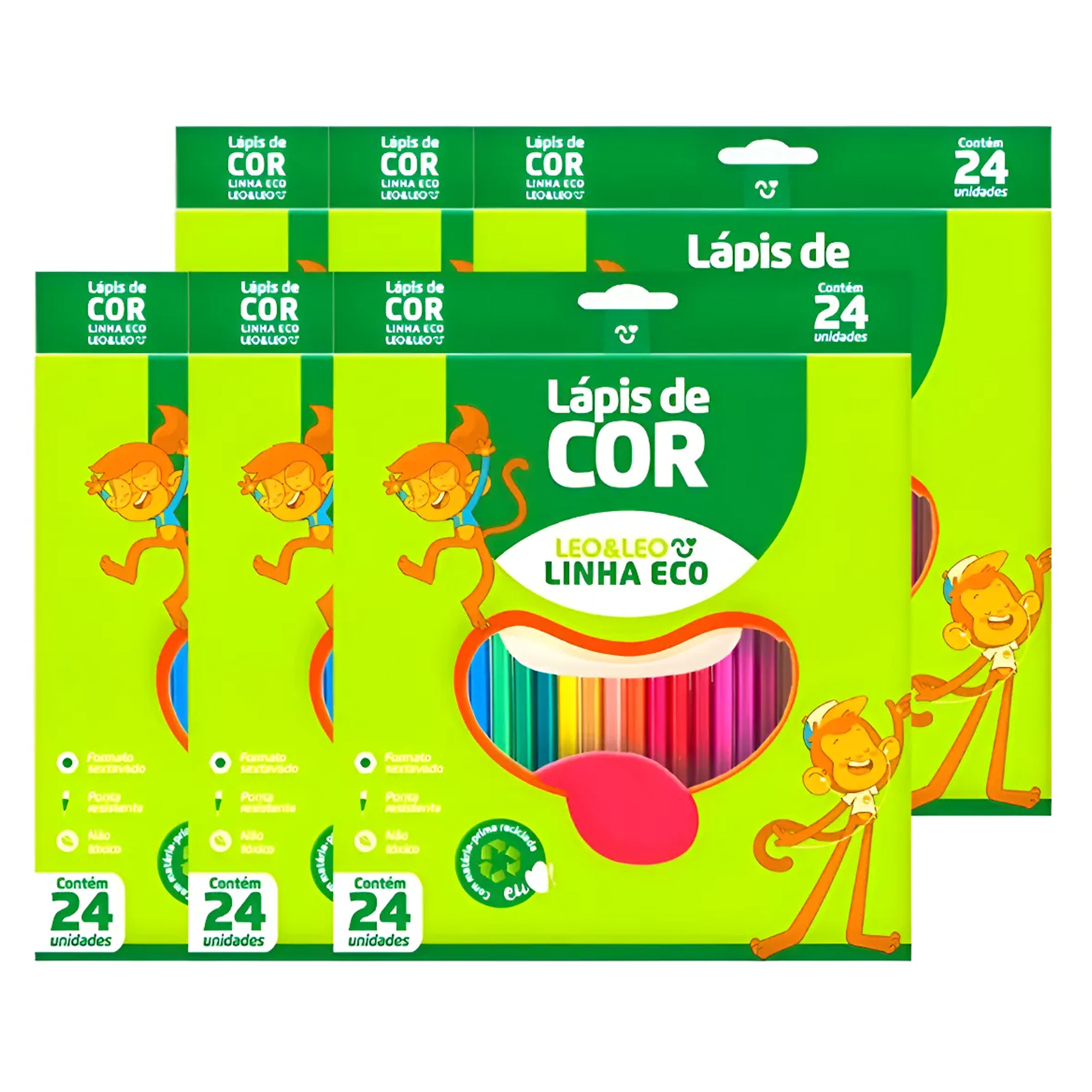 COMP Kit 6 Caixas Lápis 24 Cores Resina Sextavado Ecológico Leo&Leo Leonora - 4222