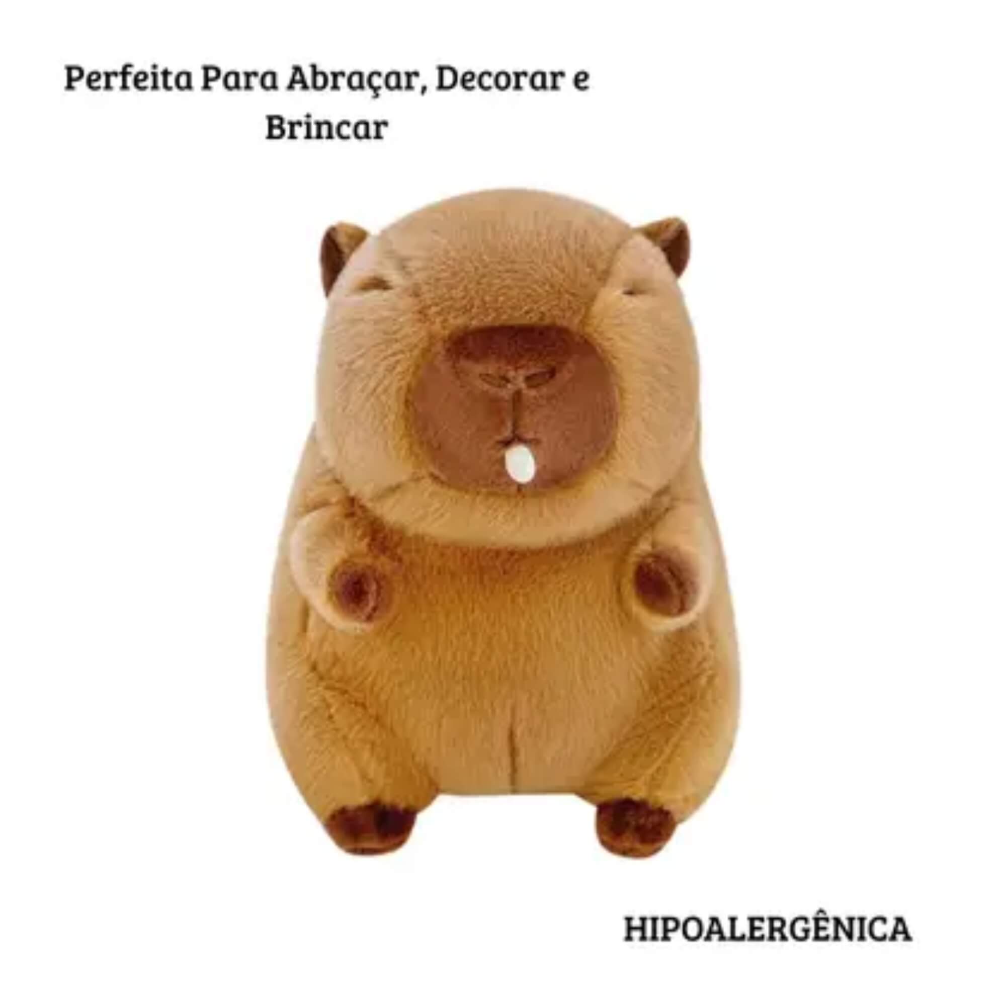 Capivara de Pelúcia Antialérgica com Bexiguinha 20 cm Polibrinq - PLC08