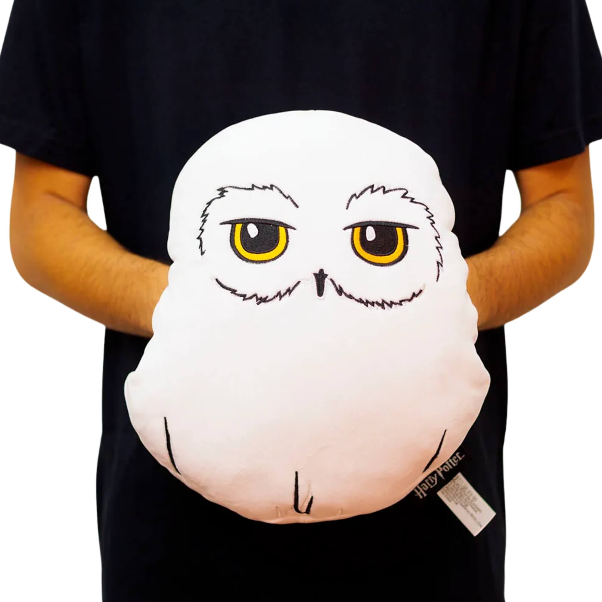 COMP Kit Harry Potter Fone Sem Fio Bluetooth Earbuds + Almofada Huggy Edwiges Fans Collection