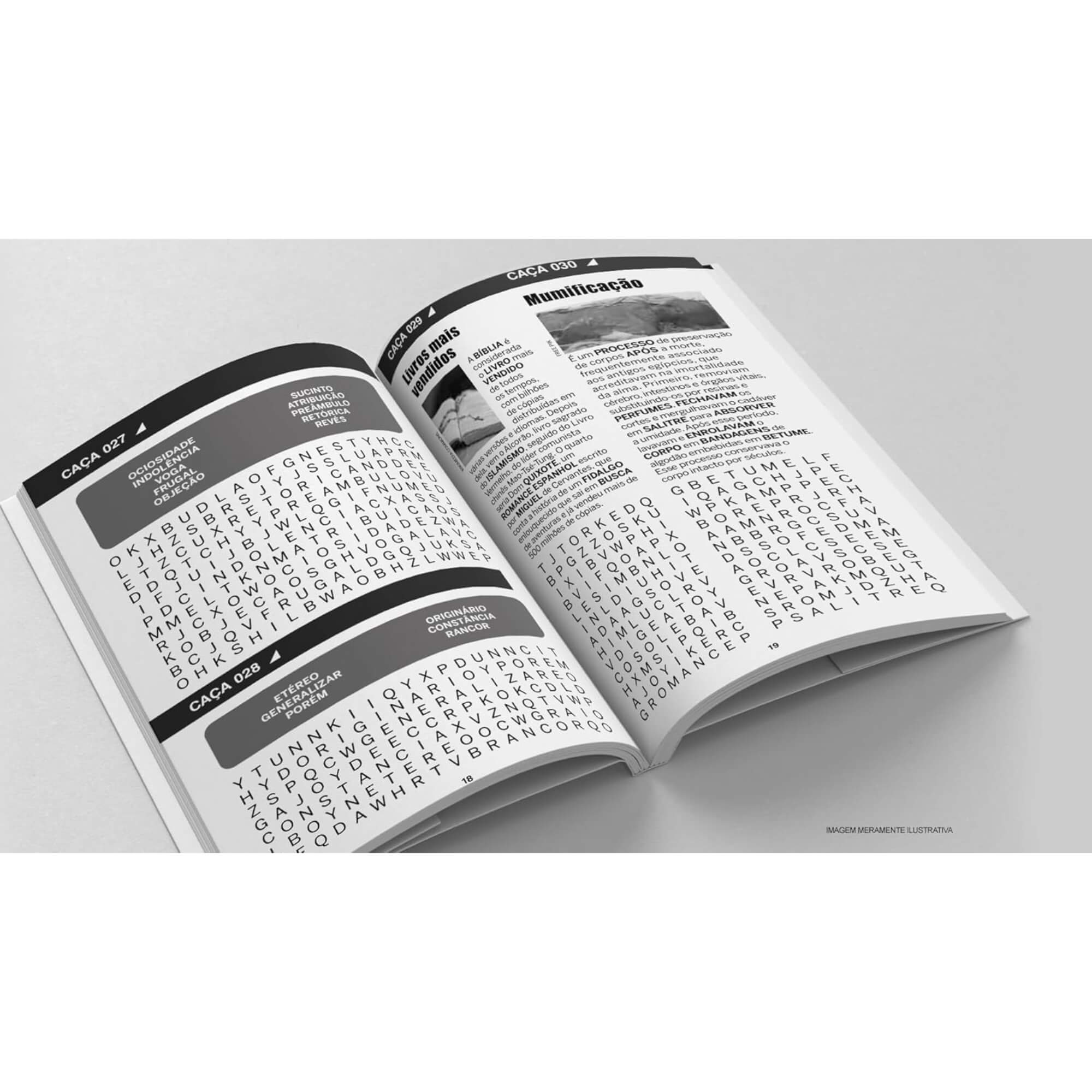 Livro Megamente 365 Caça Palavras Letrão Editora On Line - 9786561263306