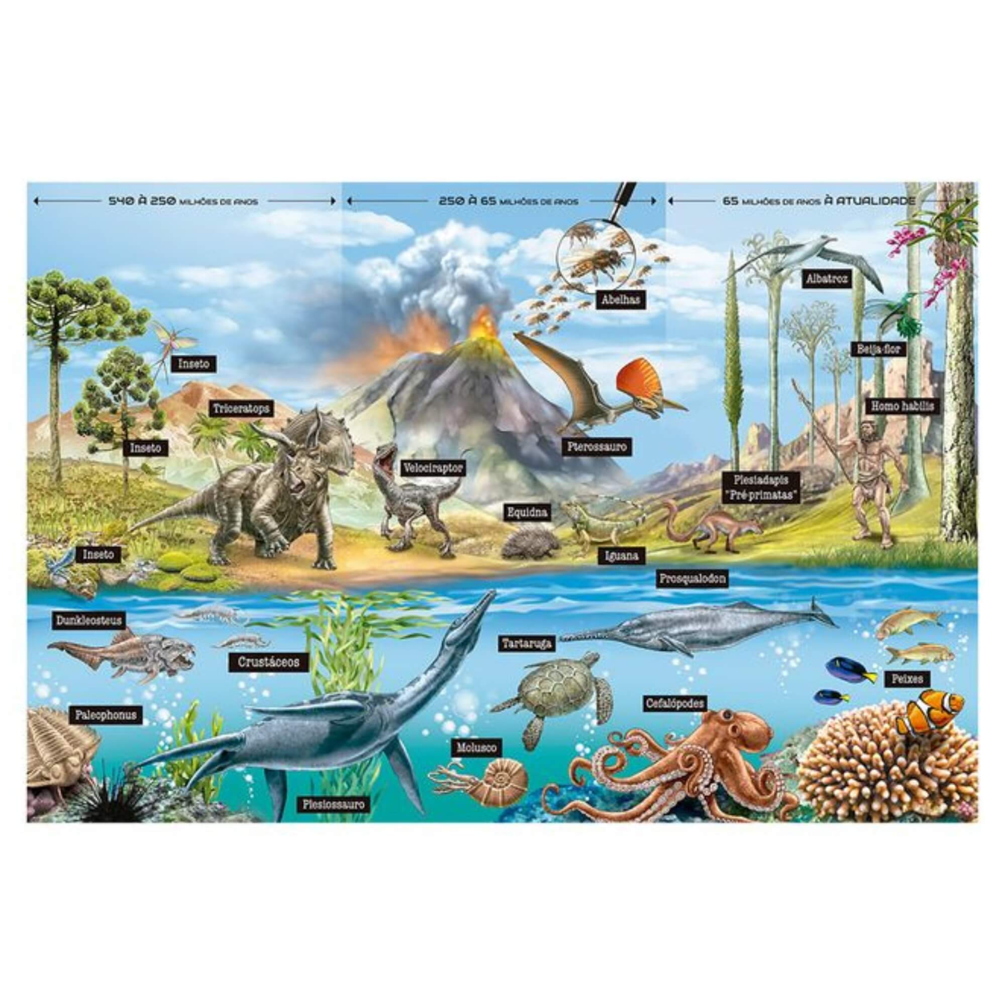 Quebra-cabeça 200 peças Evolução dos Animais +7 Anos Grow - 04933