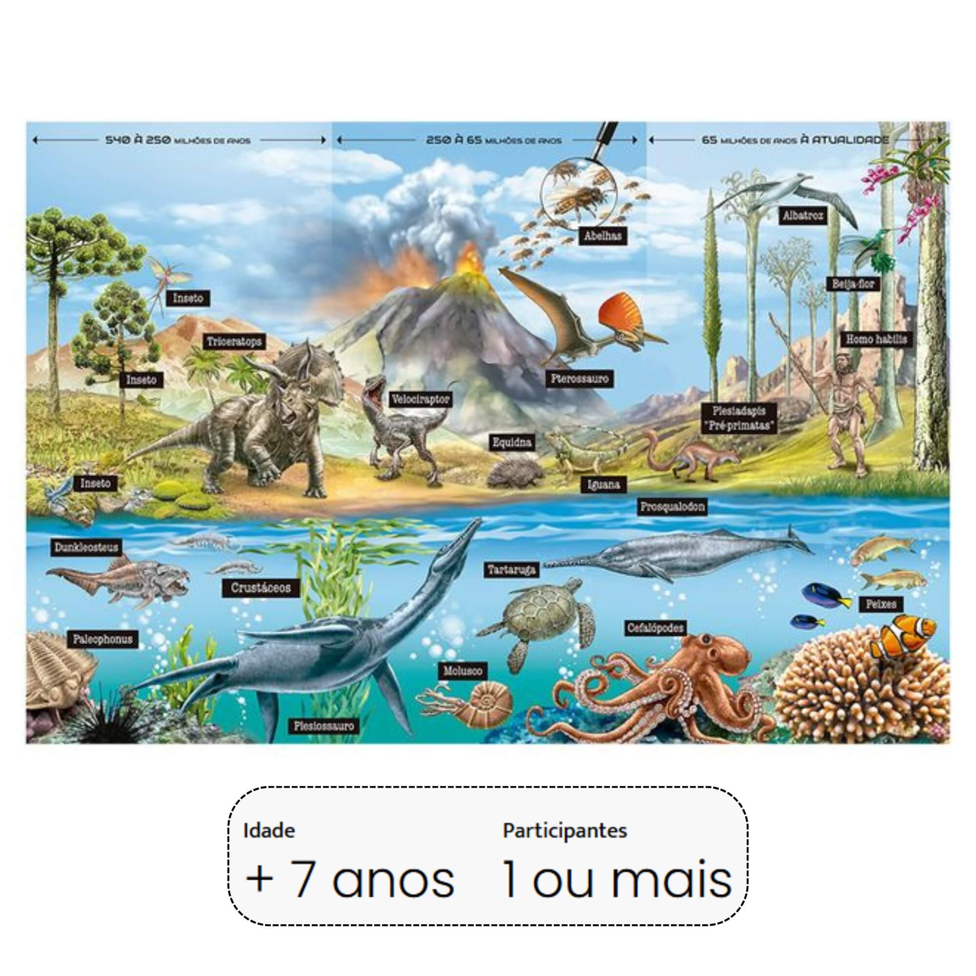 Quebra-cabeça 200 peças Evolução dos Animais +7 Anos Grow - 04933