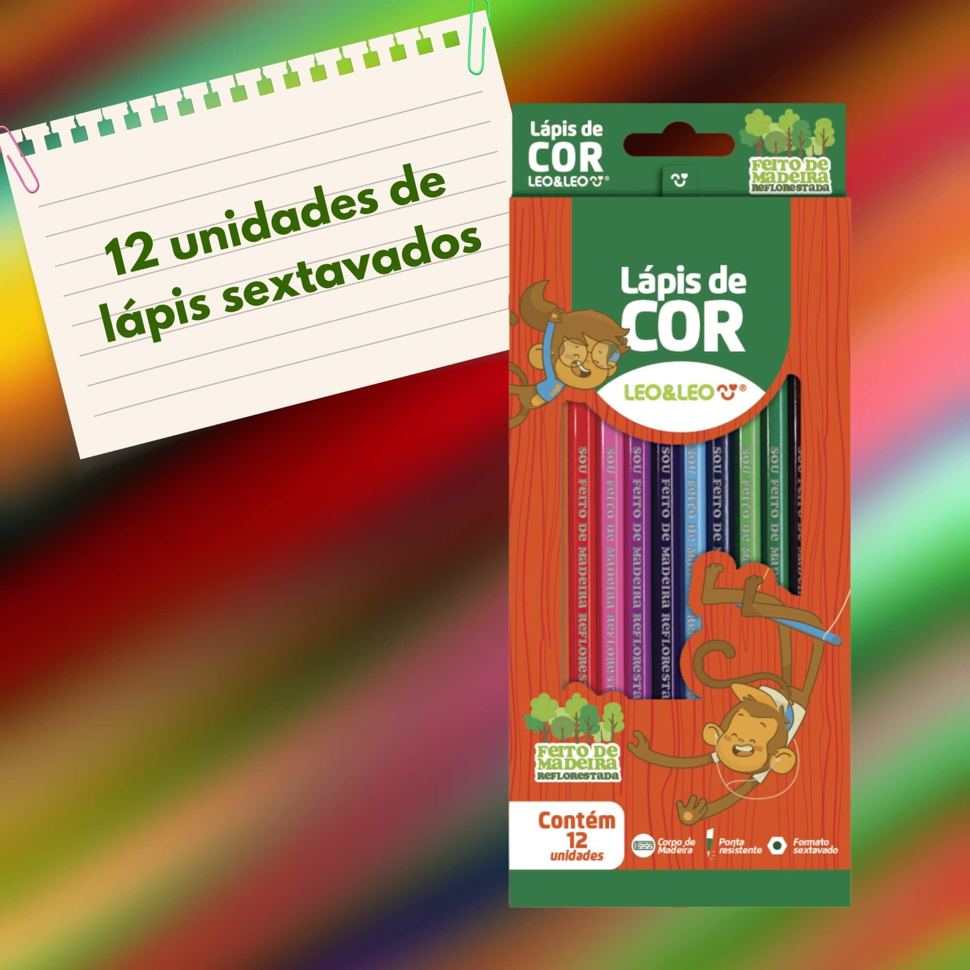 Lápis 12 Cores Sextavado Madeira Estojo Leoeleo Leonora - 4130