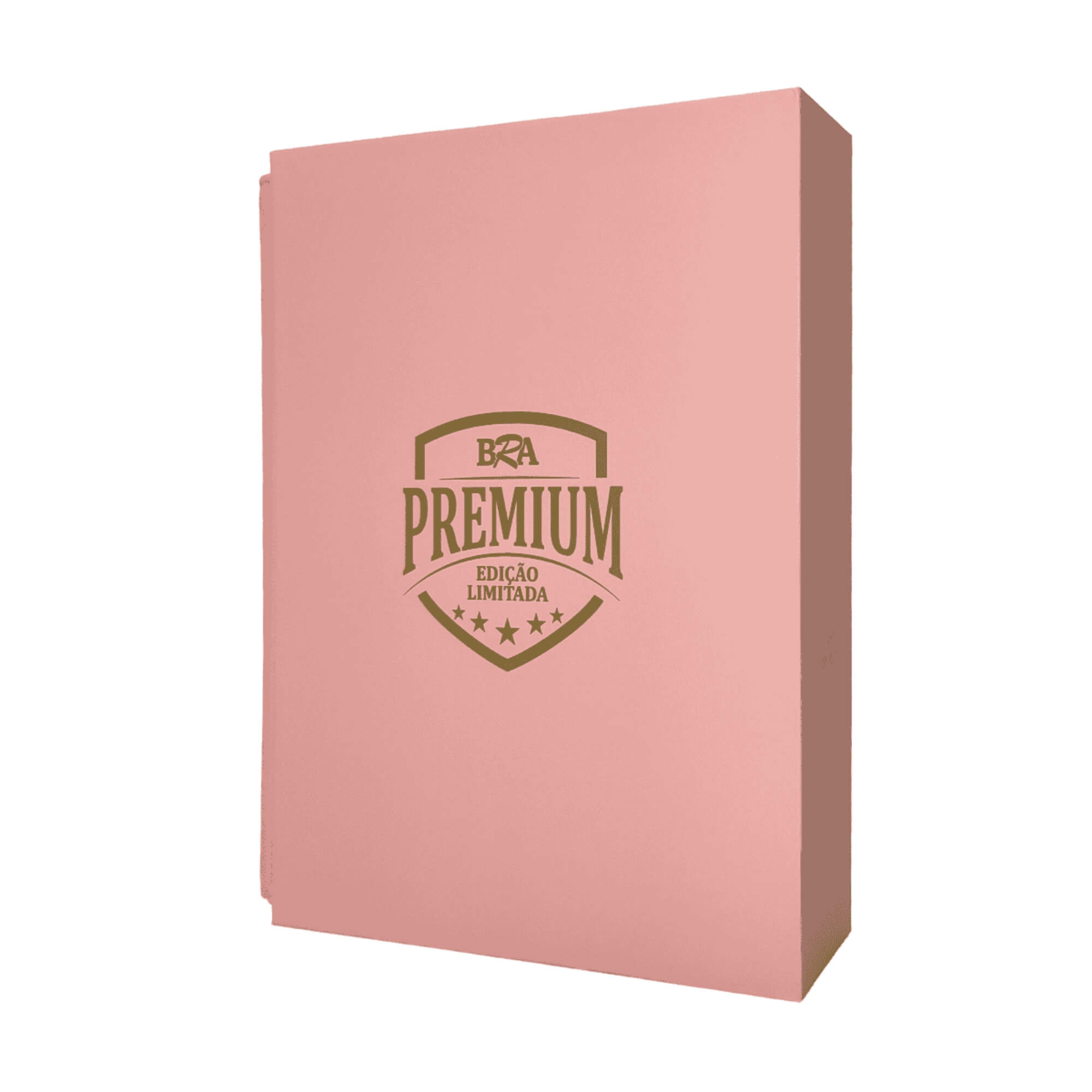 Pasta Premium 2x2 Rosa com 20 Folhas BRA - BC-2044